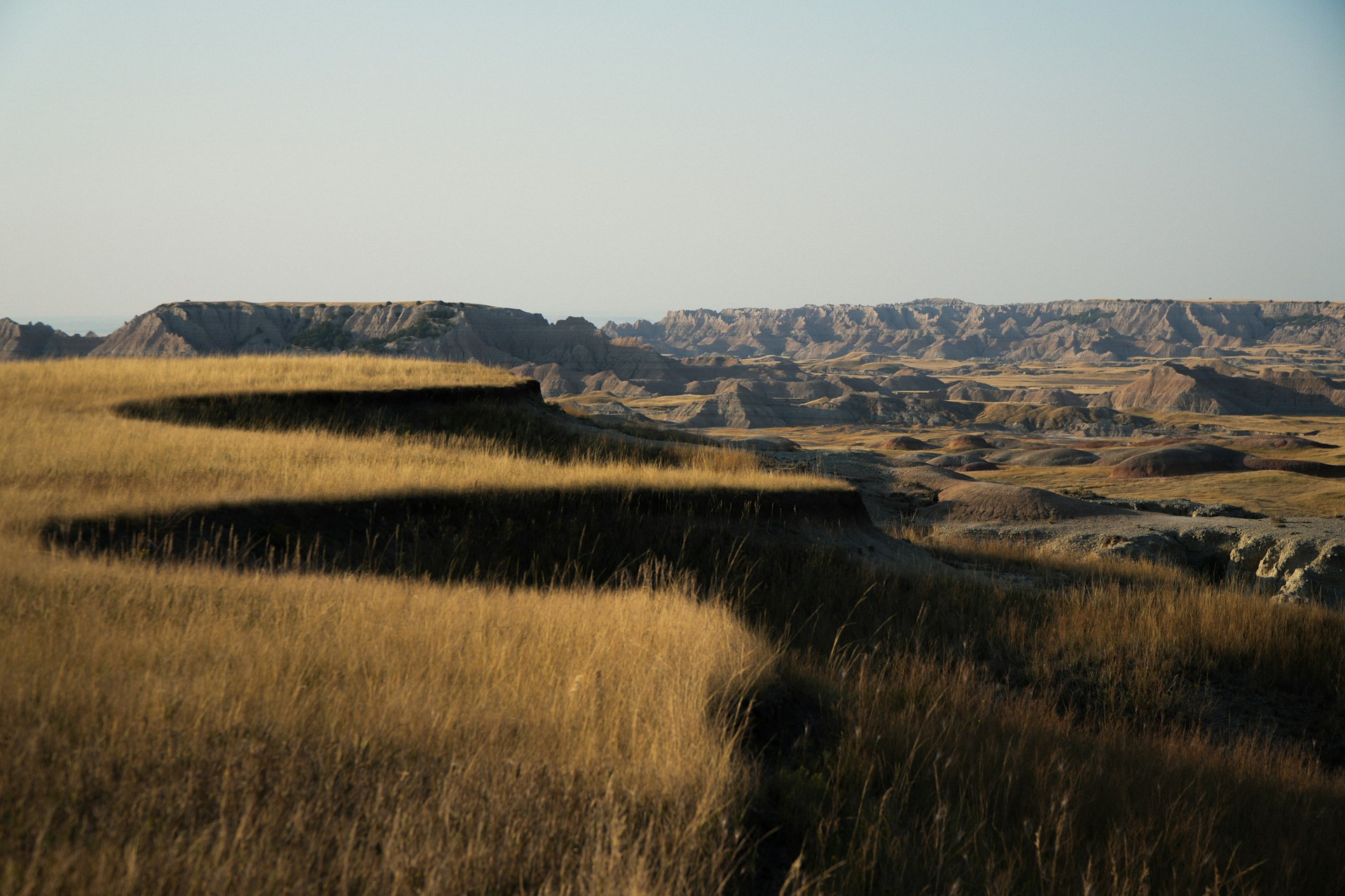 A grassy field with a hill in the background