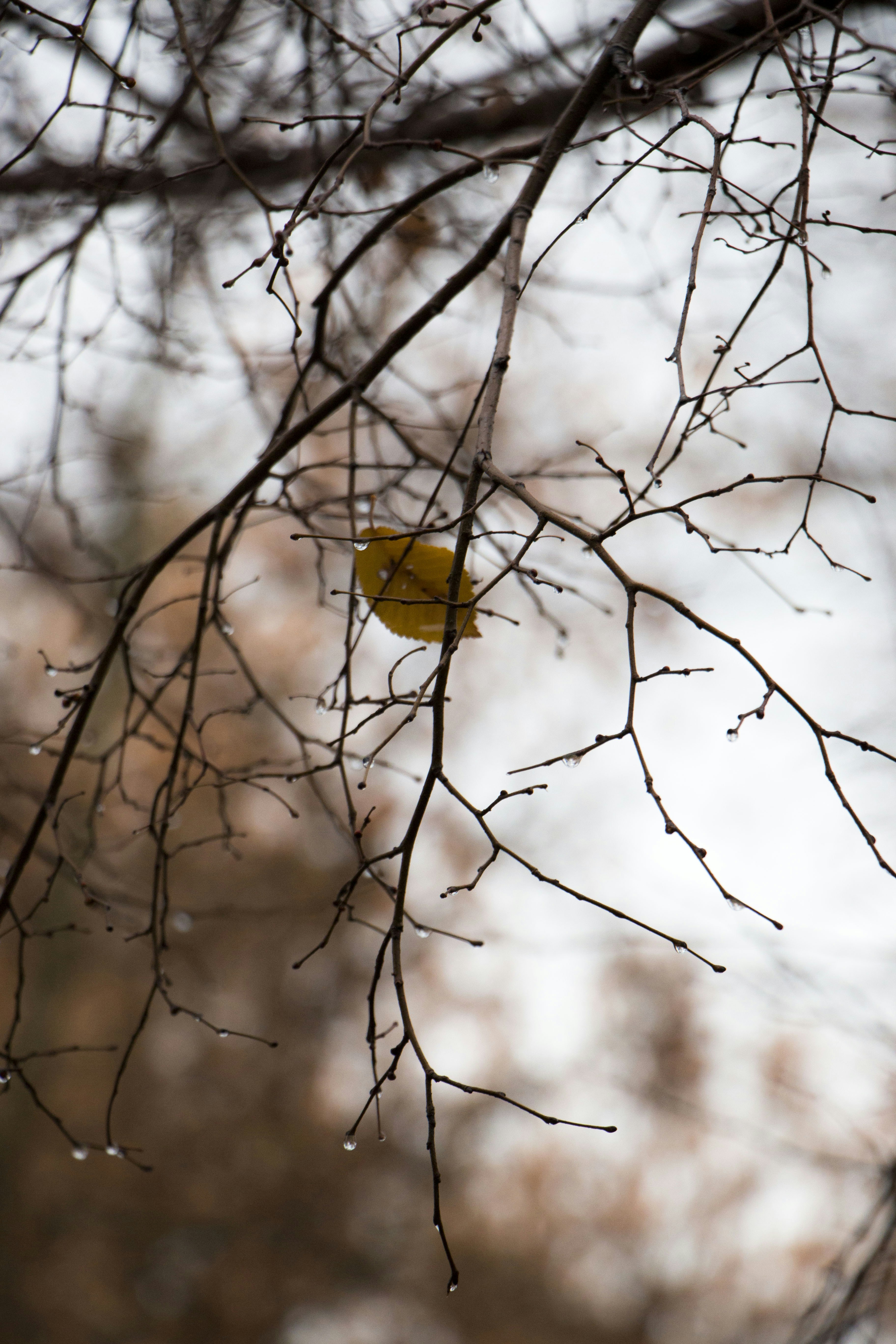 Photo by fatemehmah_