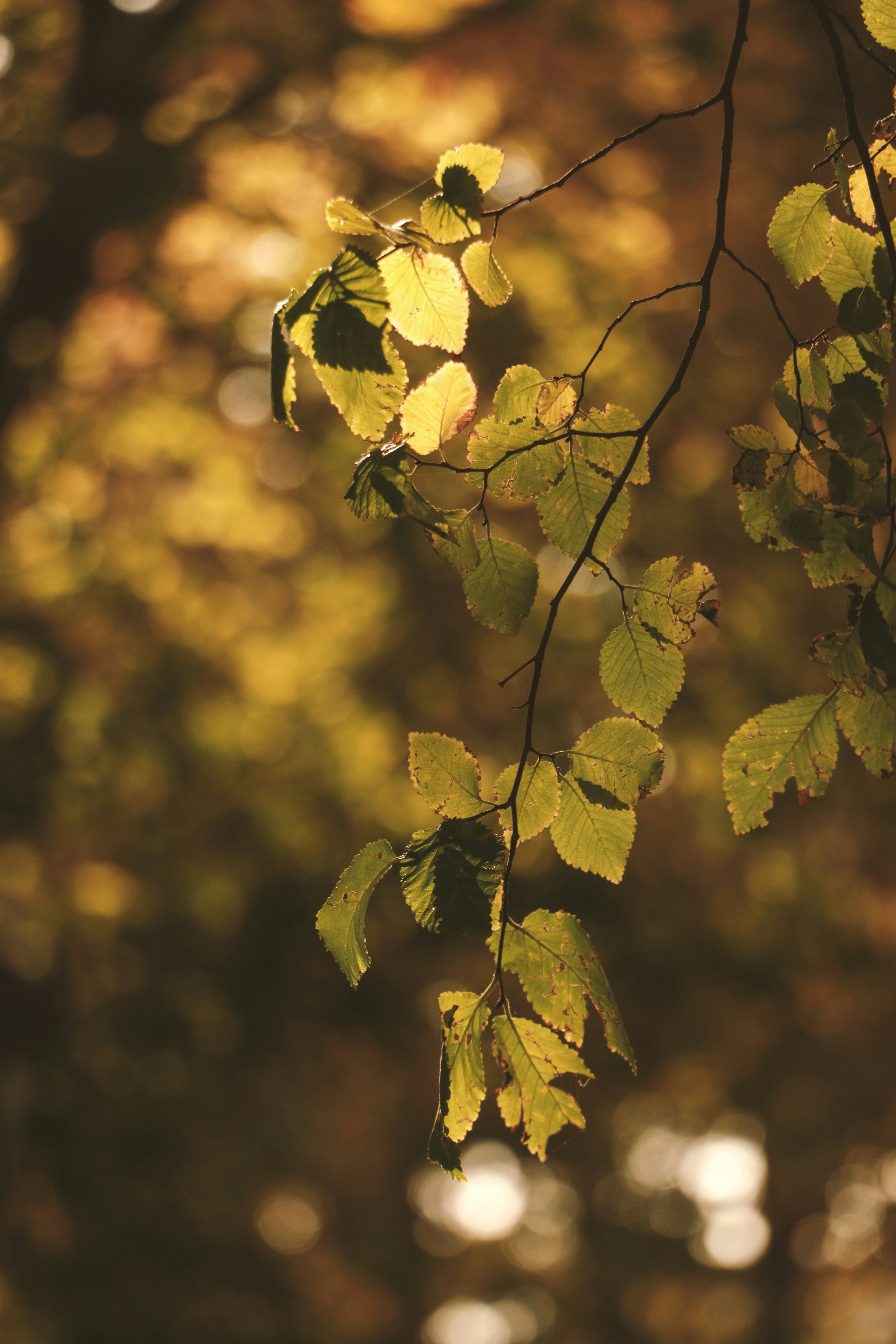 Photo by fatemehmah_