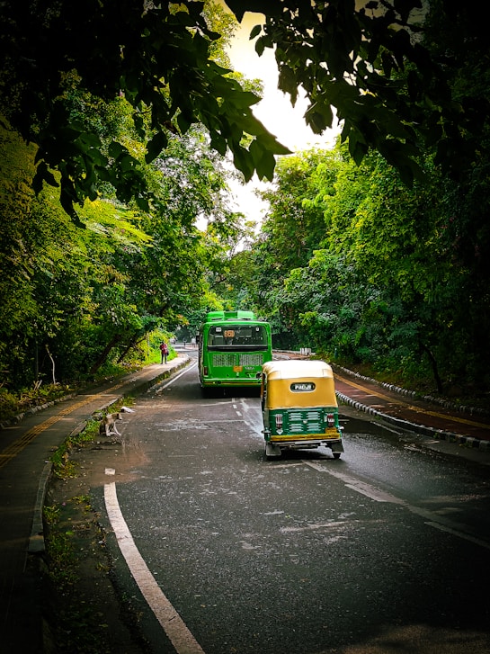 A green and yellow bus driving down a road