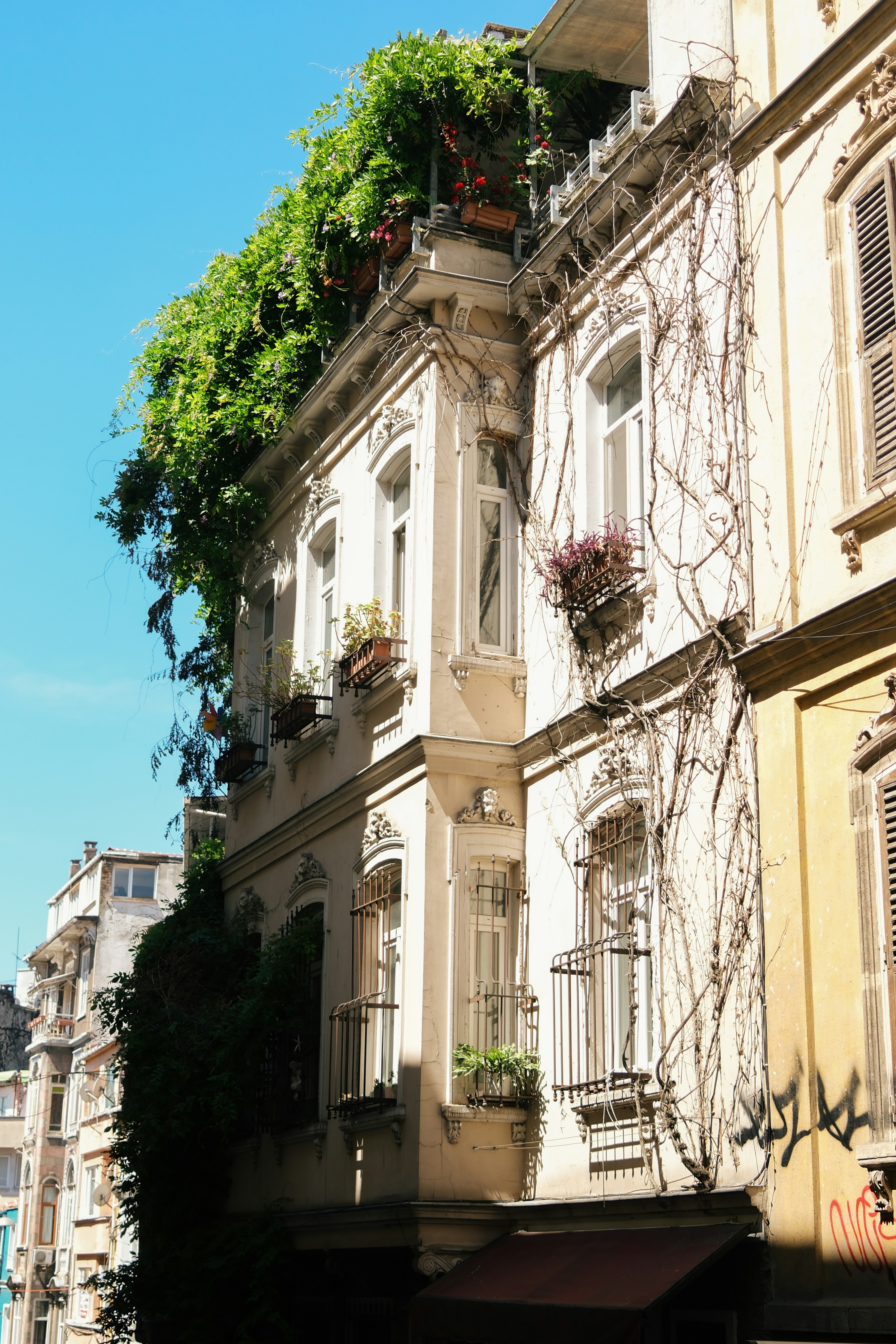 Photo by faruktokluoglu