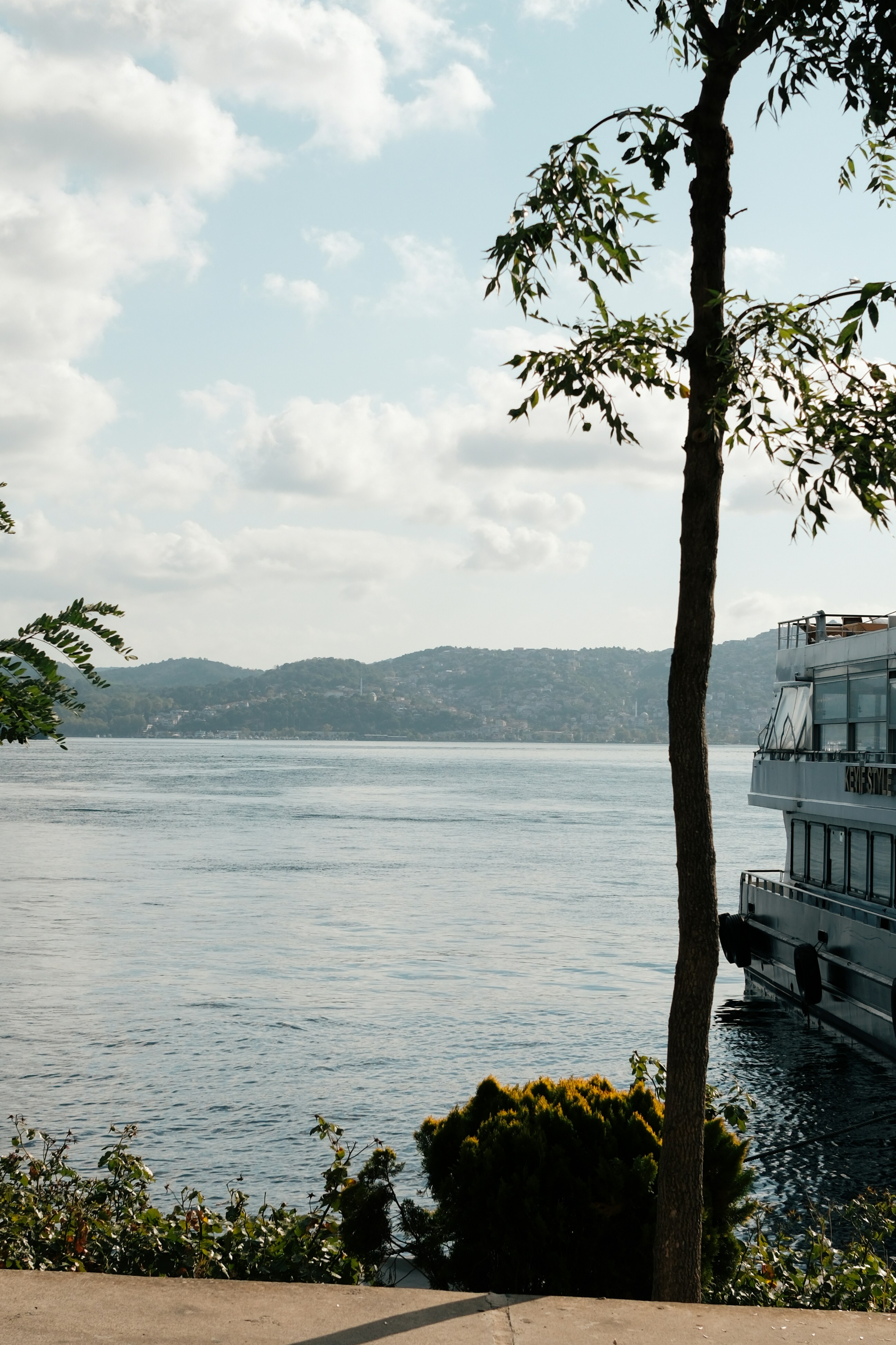 Photo by faruktokluoglu
