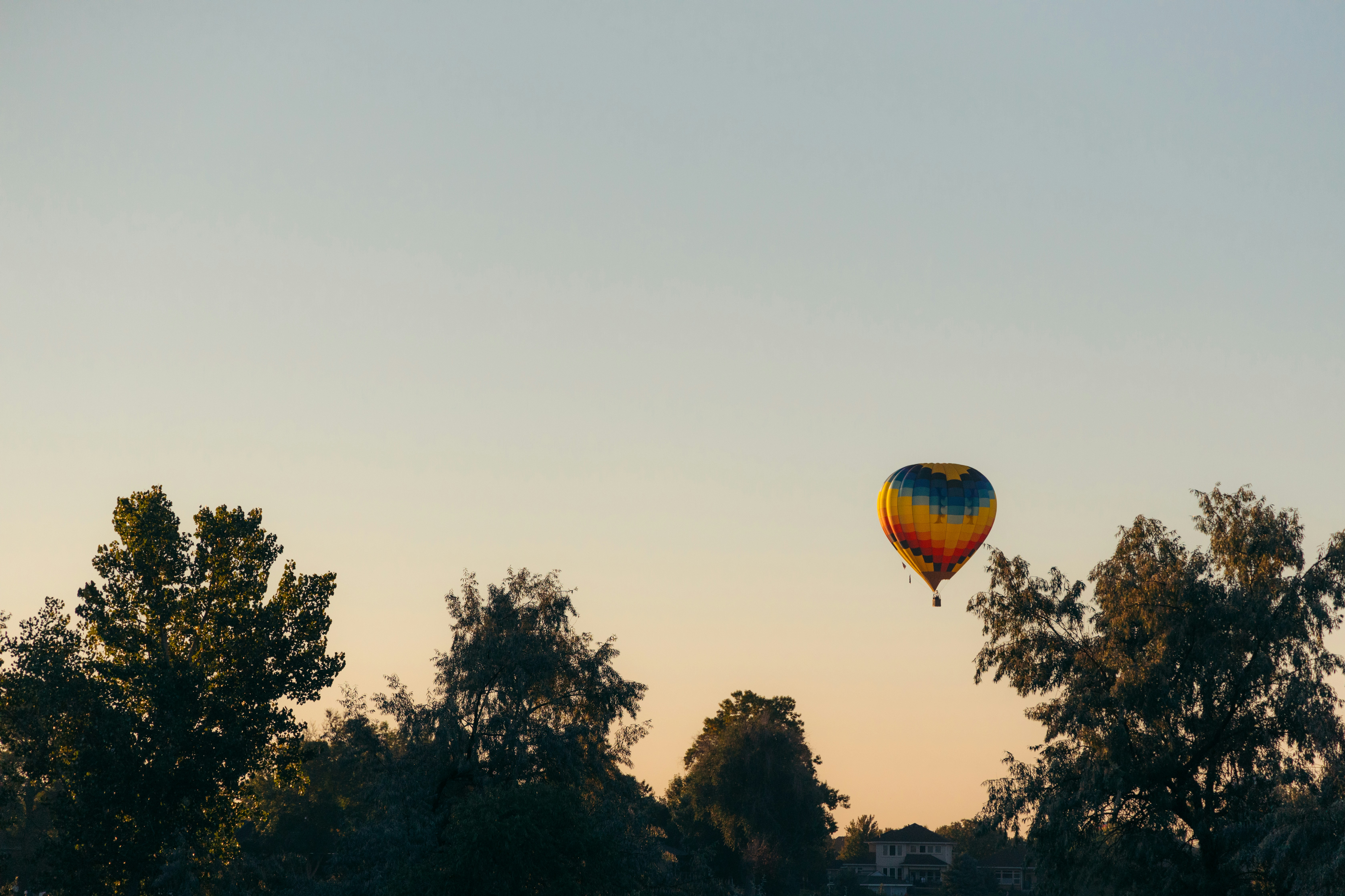 Photo by ldpeterson11