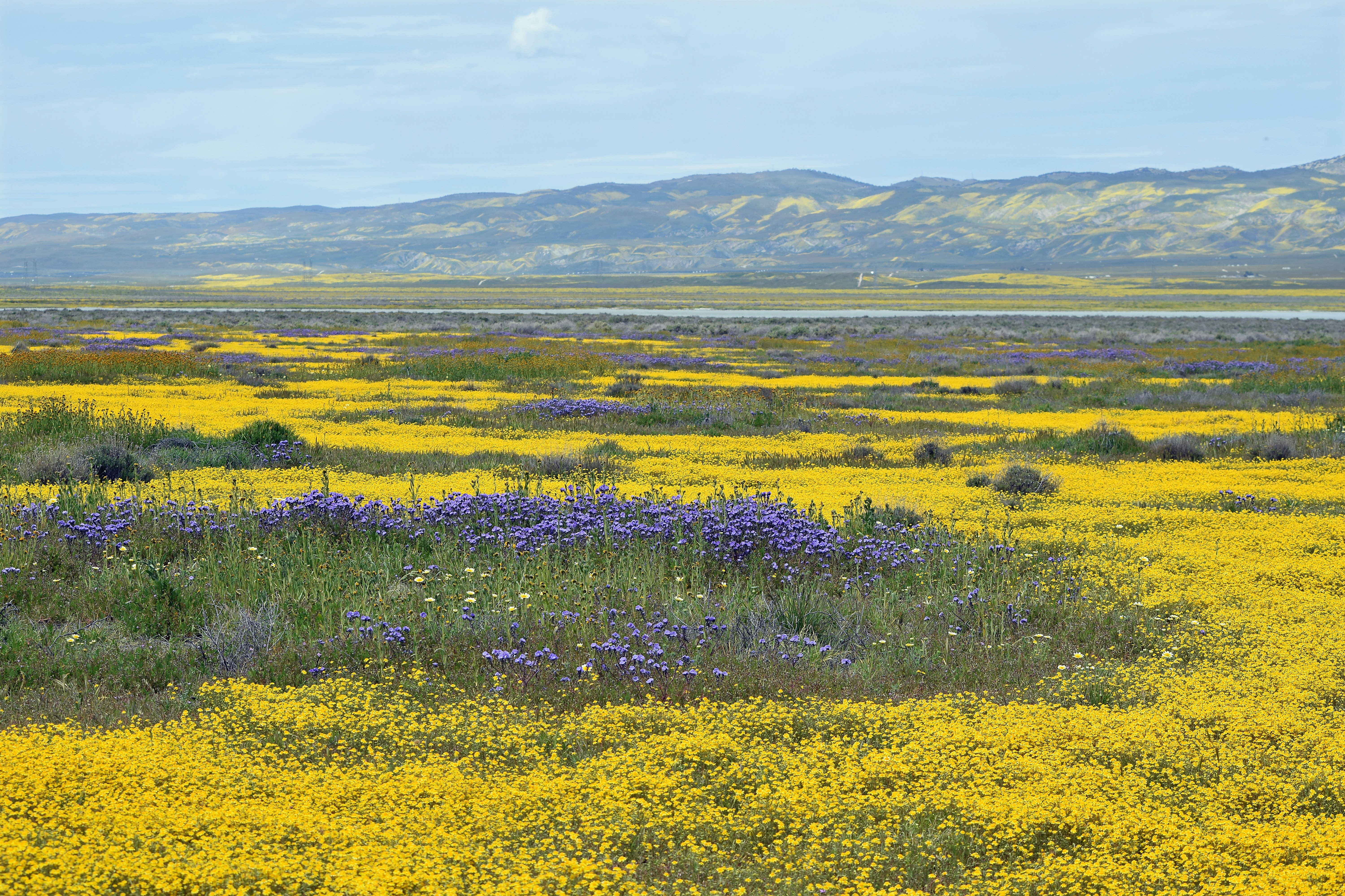 Photo by pamelaheckel