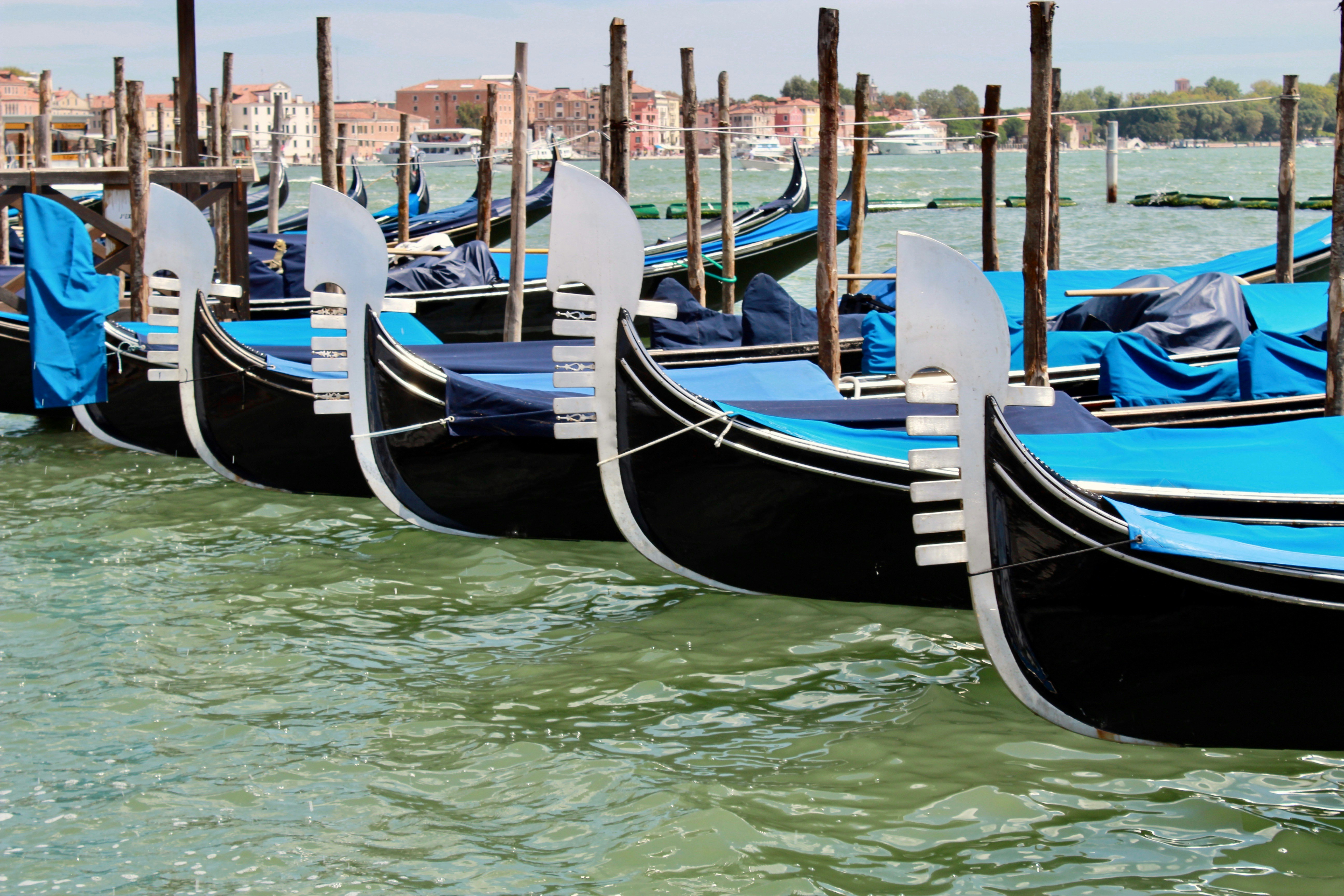 A row of gondolas sitting next to each other in the water