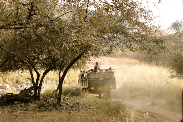 Ranthambore tiger safari taxi booking