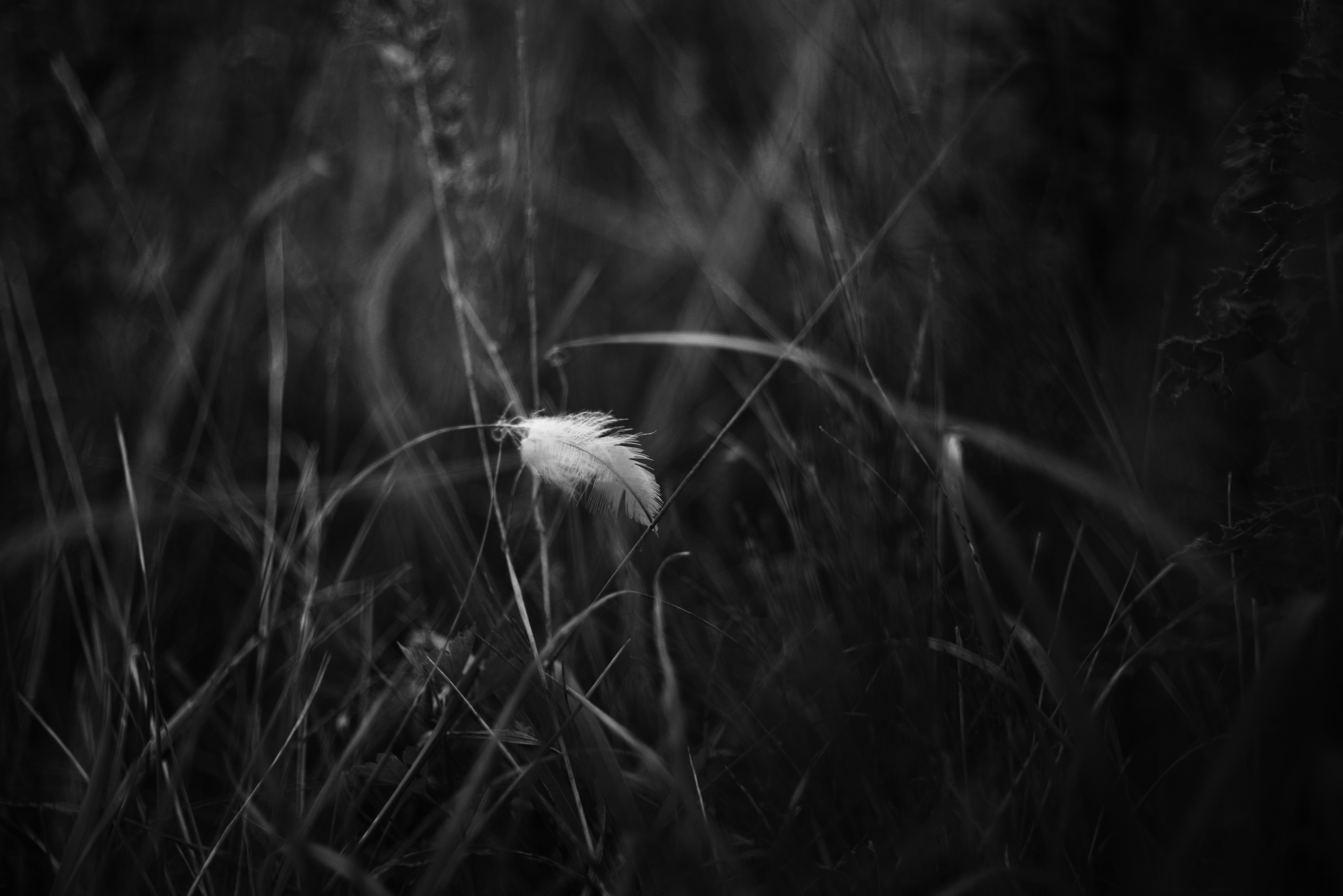 Photo by cherstve_pechivo