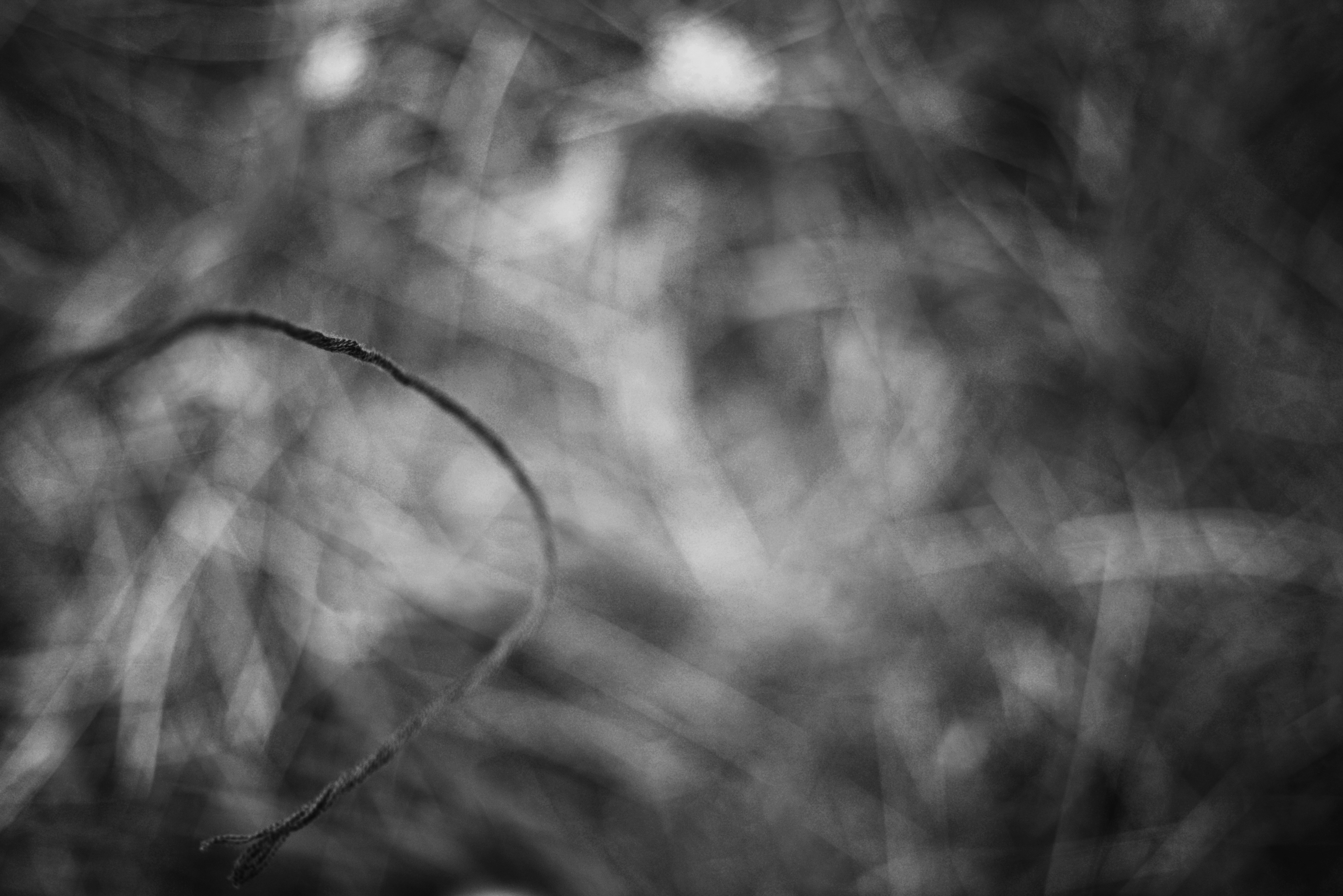 Photo by cherstve_pechivo