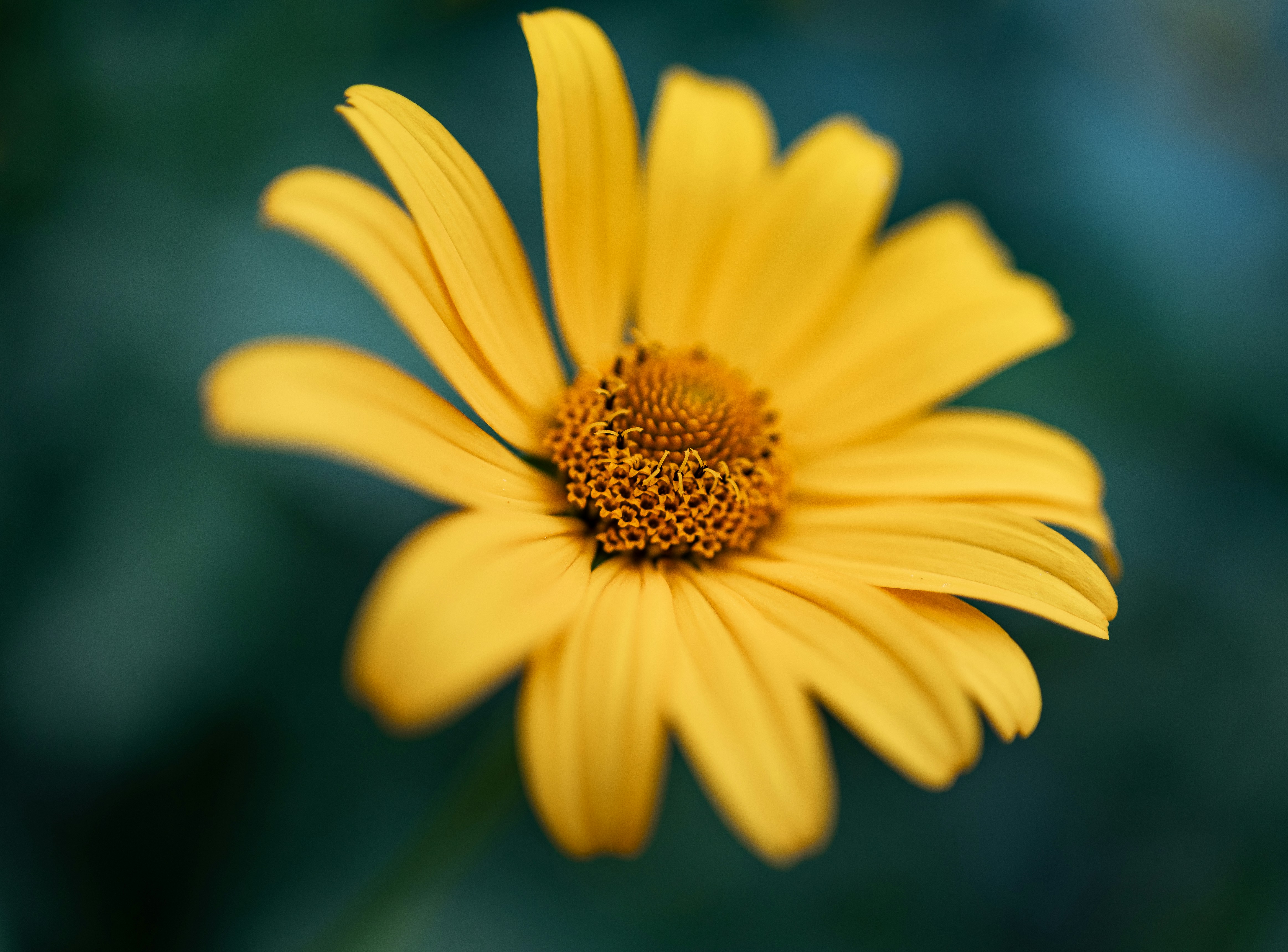 Photo by marekpiwnicki