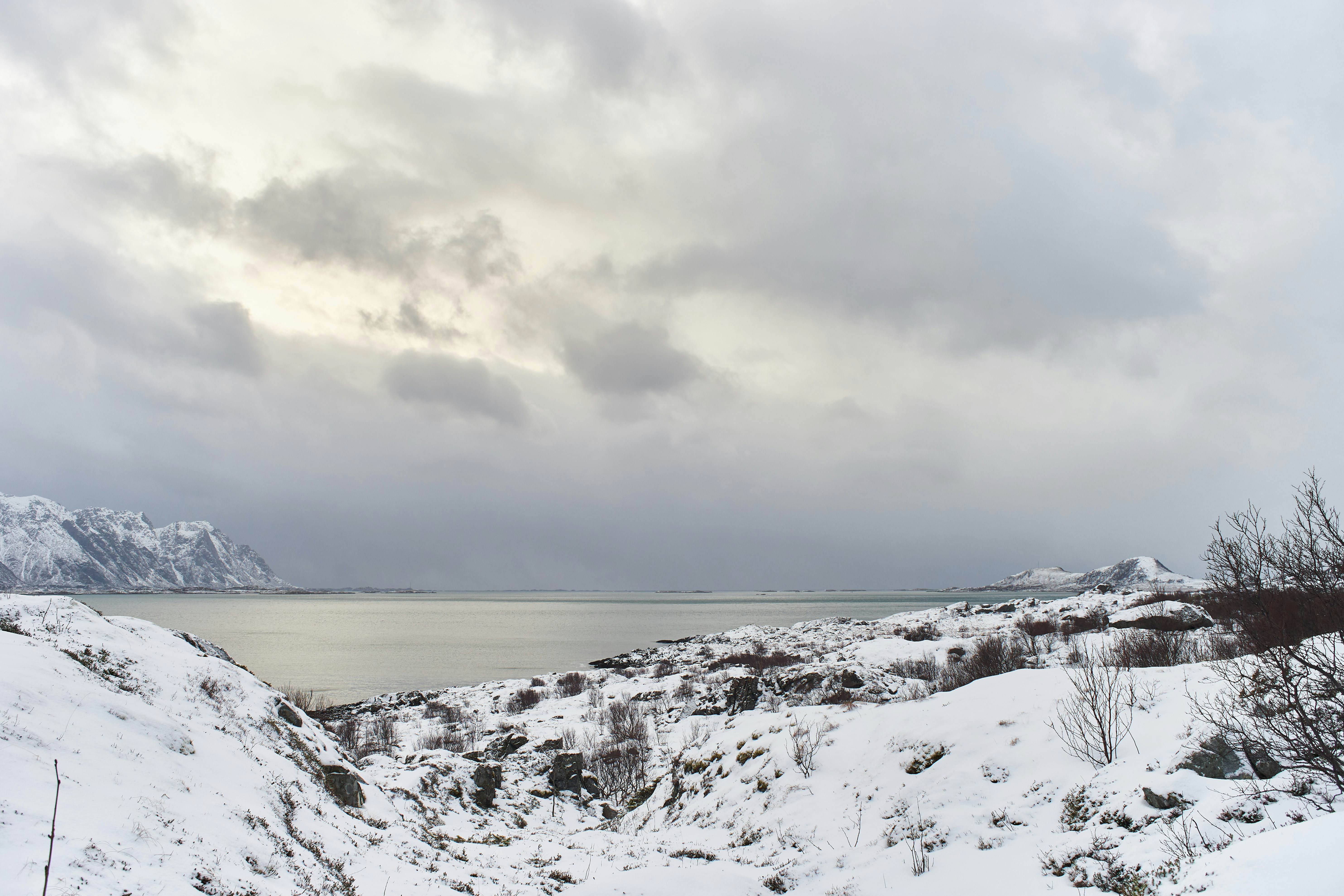 Photo by wolfgang_hasselmann