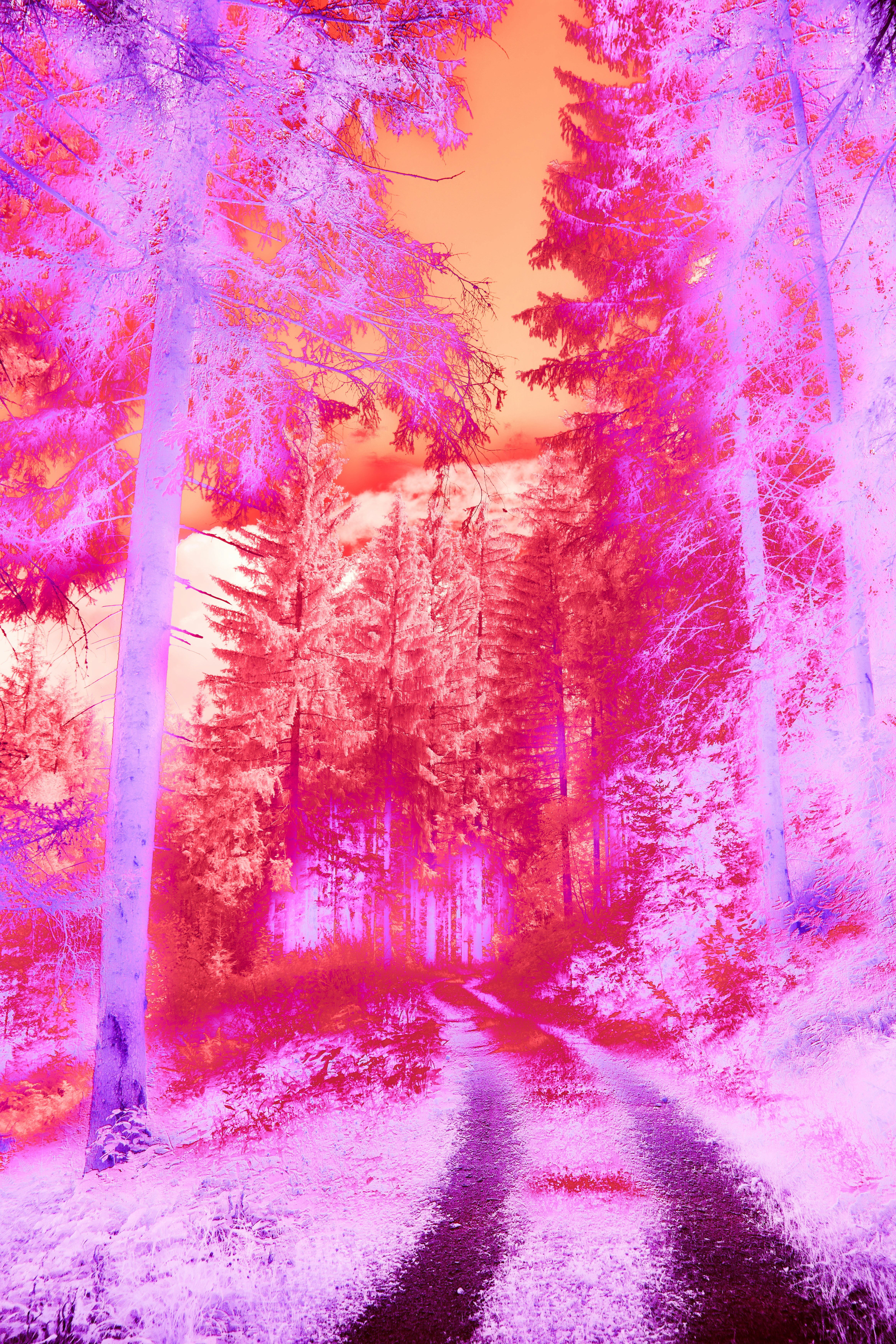 Photo by wolfgang_hasselmann