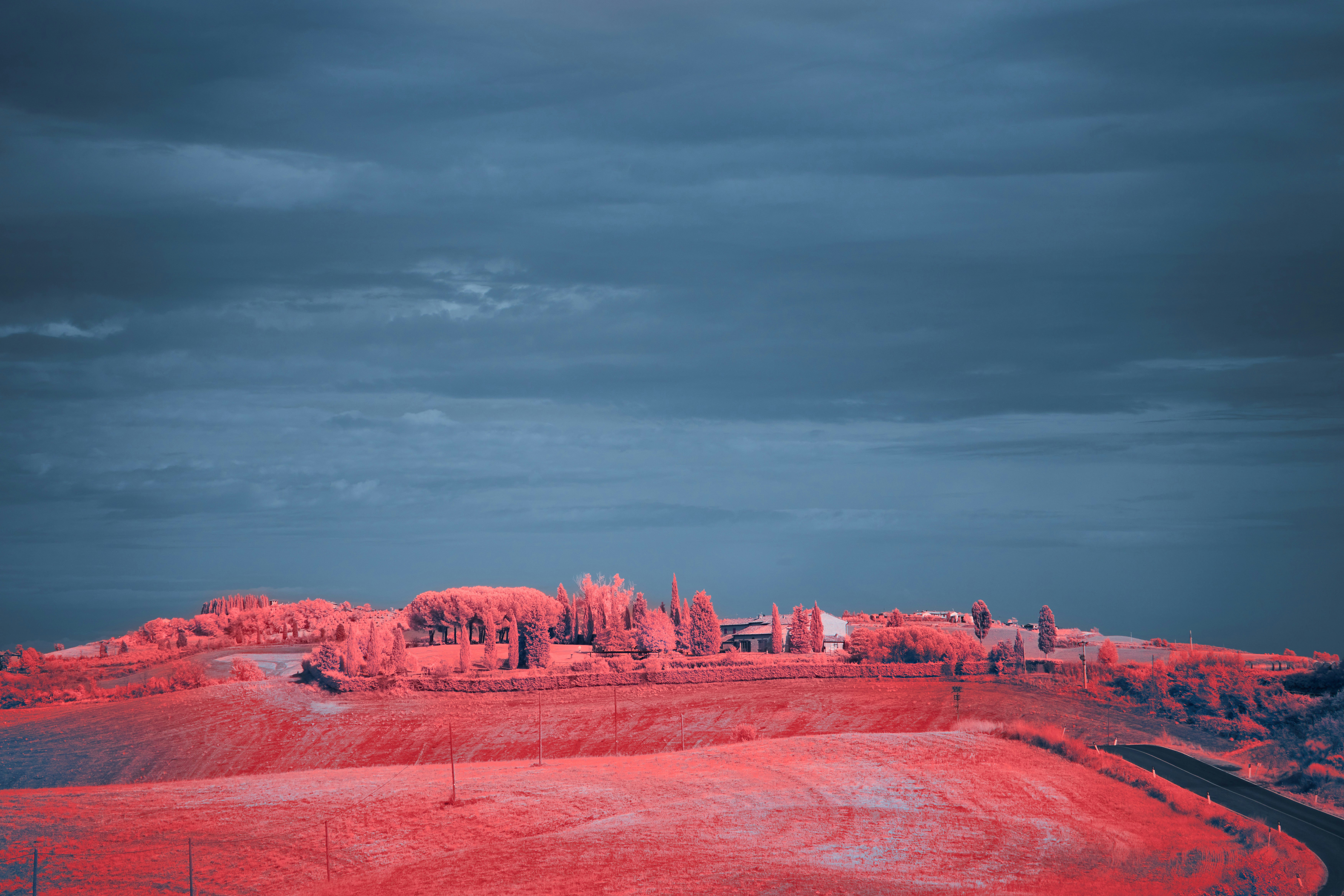 Photo by wolfgang_hasselmann