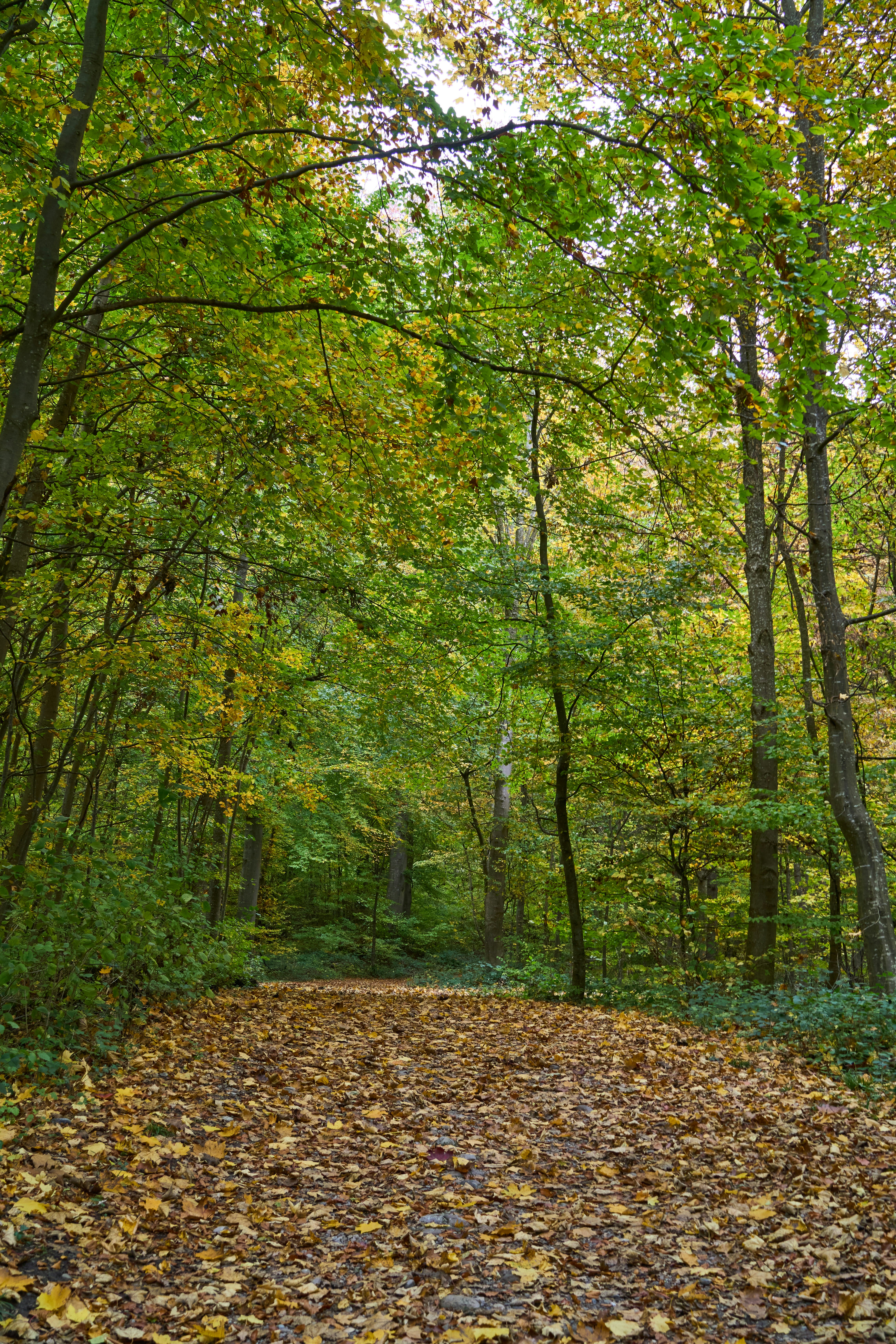 Photo by wolfgang_hasselmann