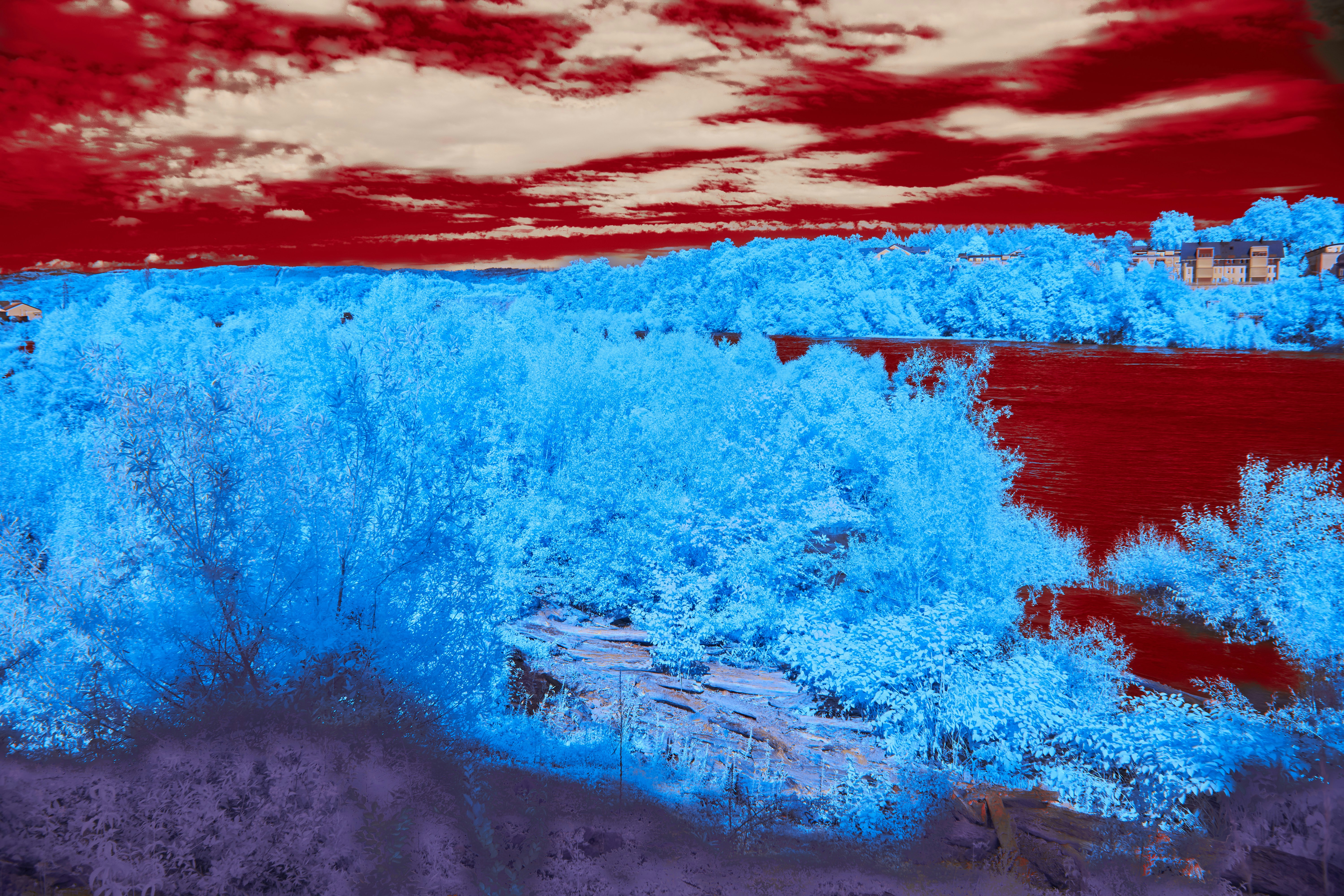 Photo by wolfgang_hasselmann