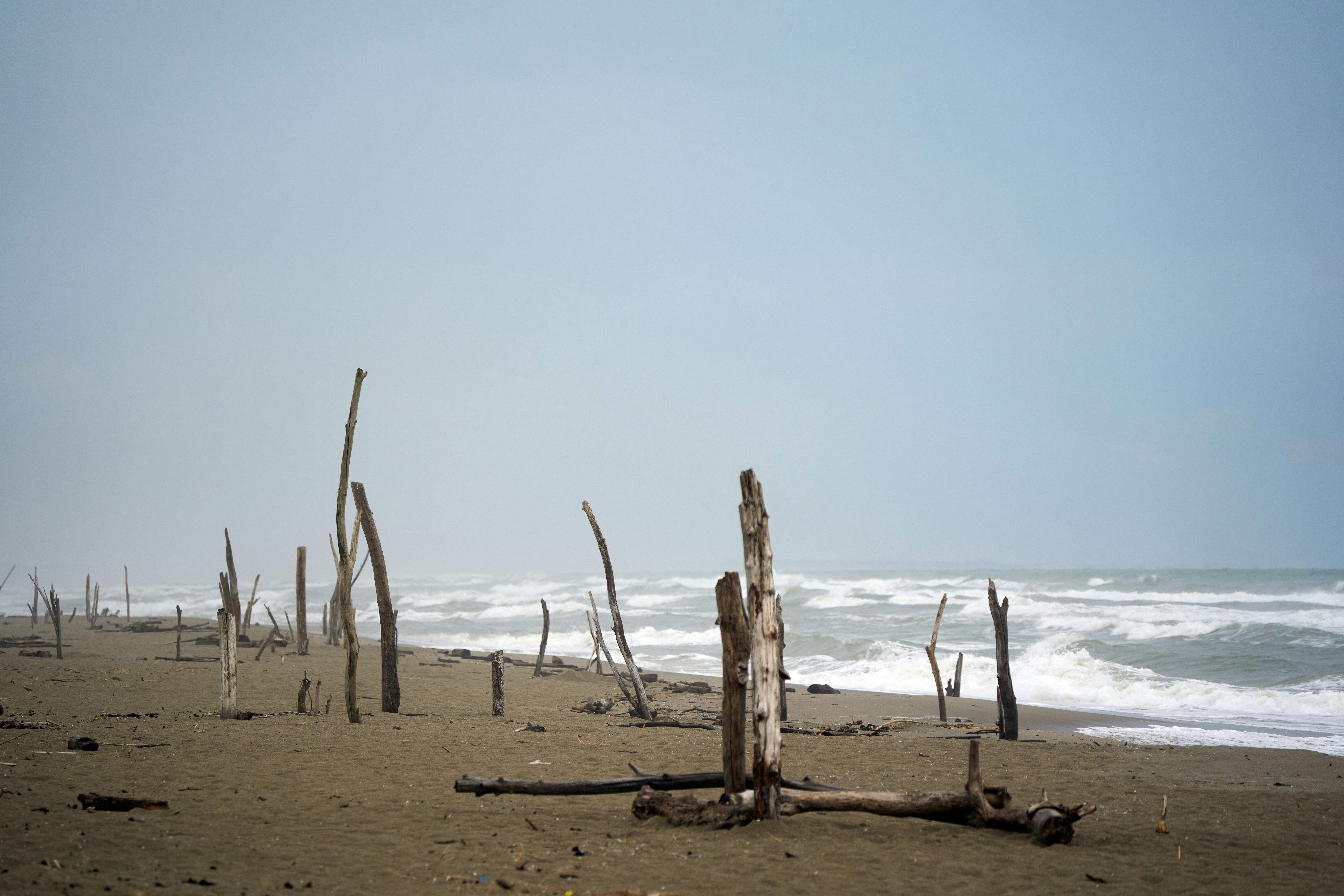 Photo by wolfgang_hasselmann