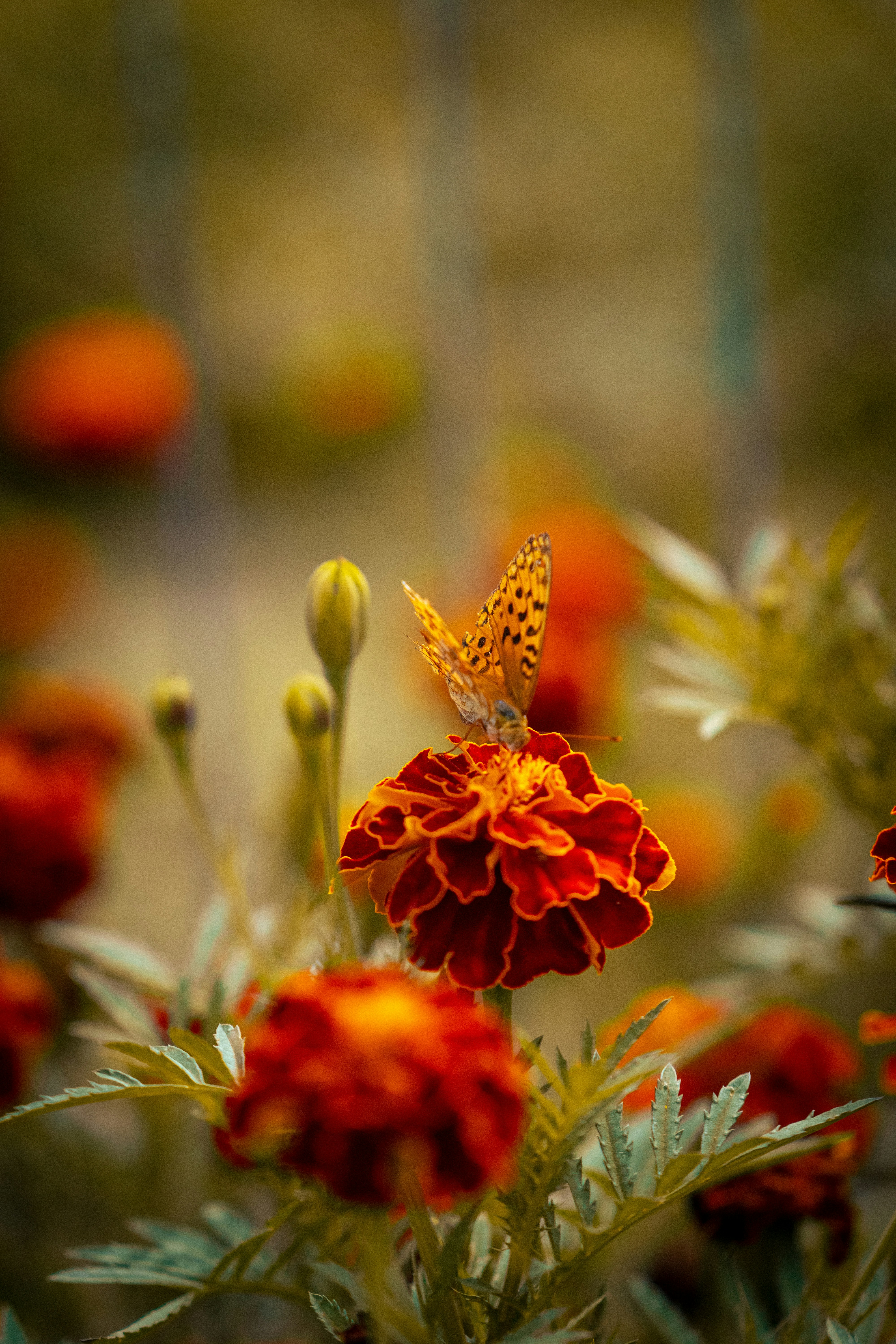 Photo by stormy26