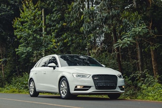 A white car parked on the side of the road