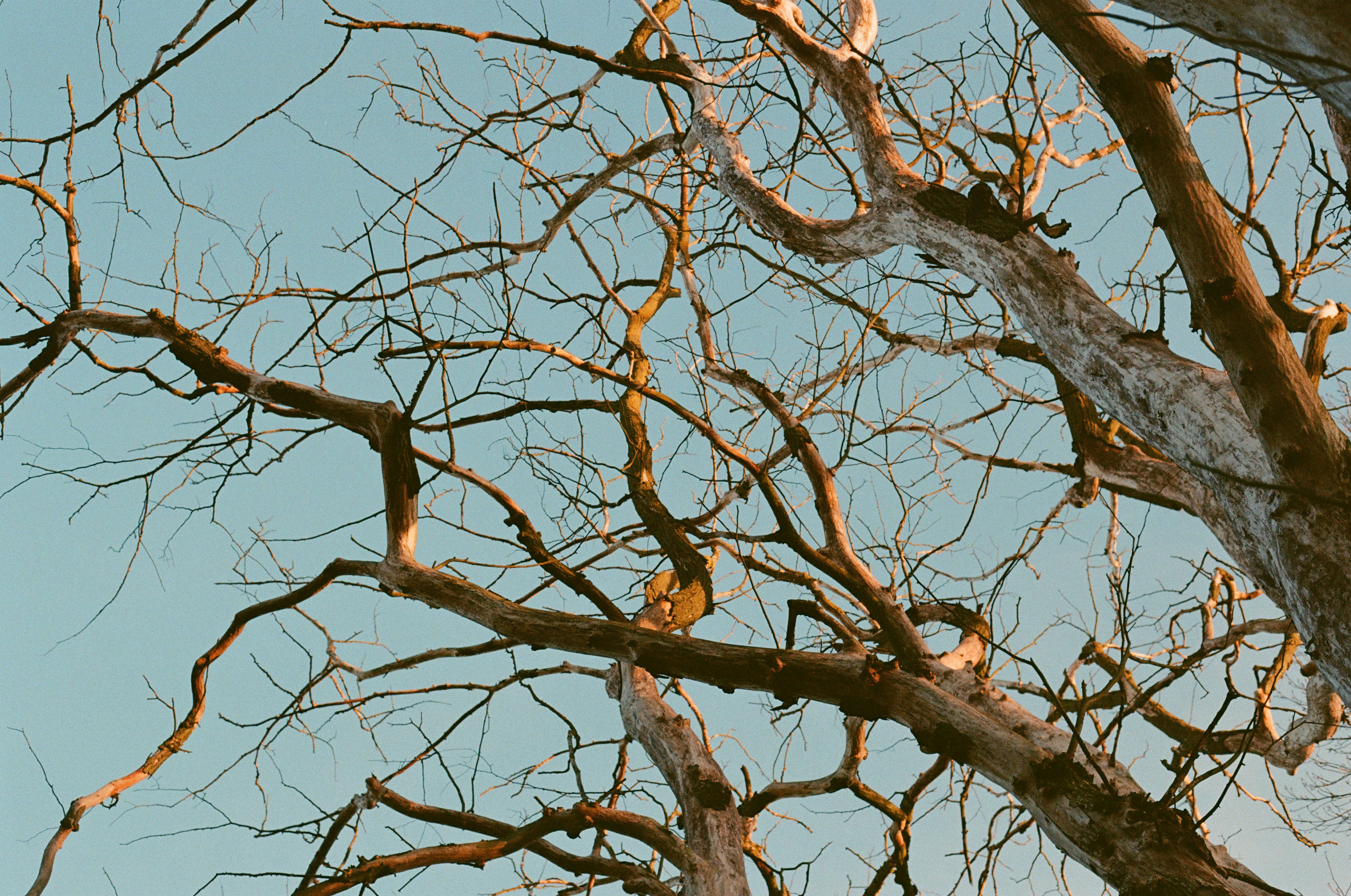 Photo by mineral_of_demon