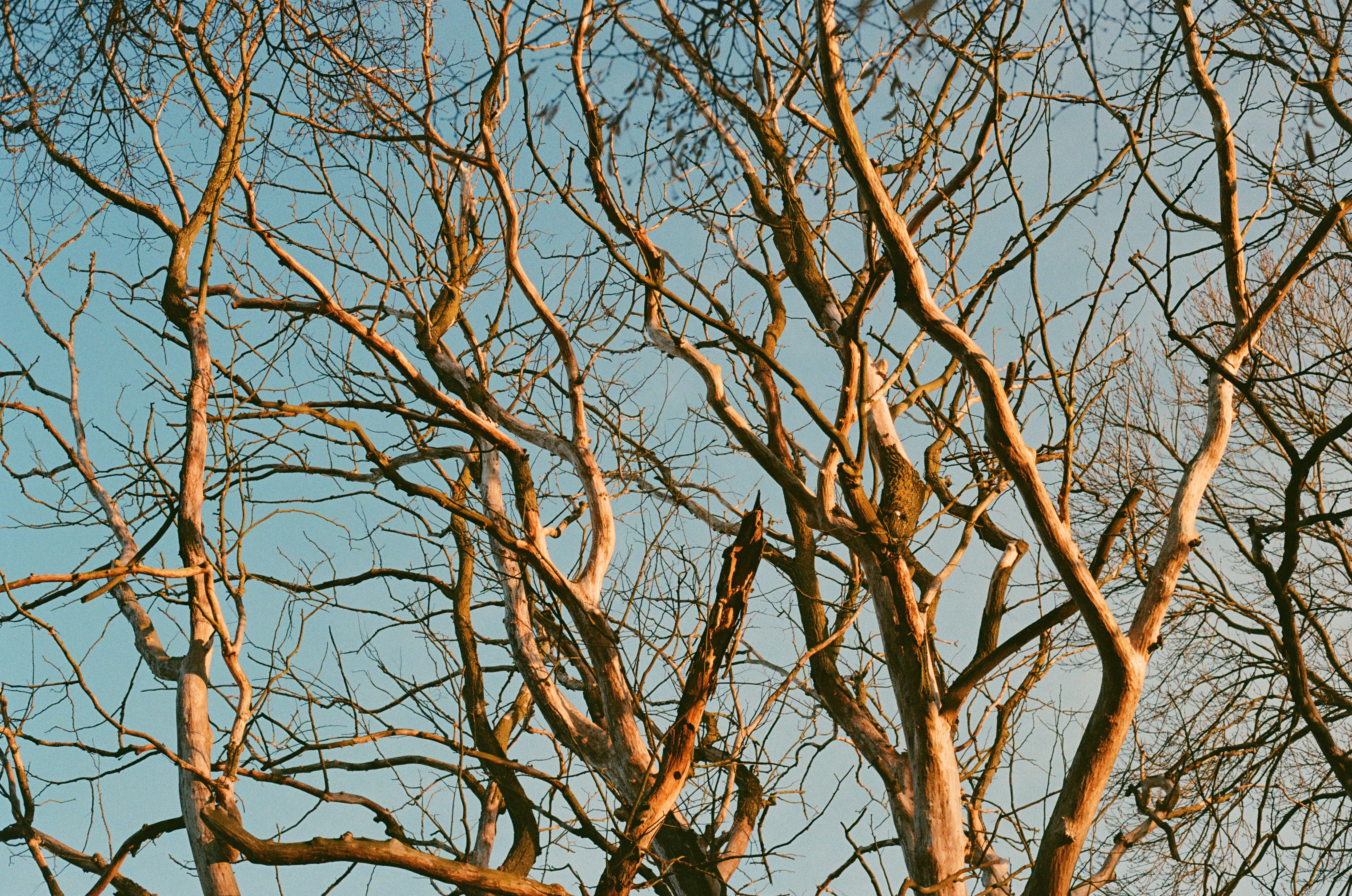 Photo by mineral_of_demon