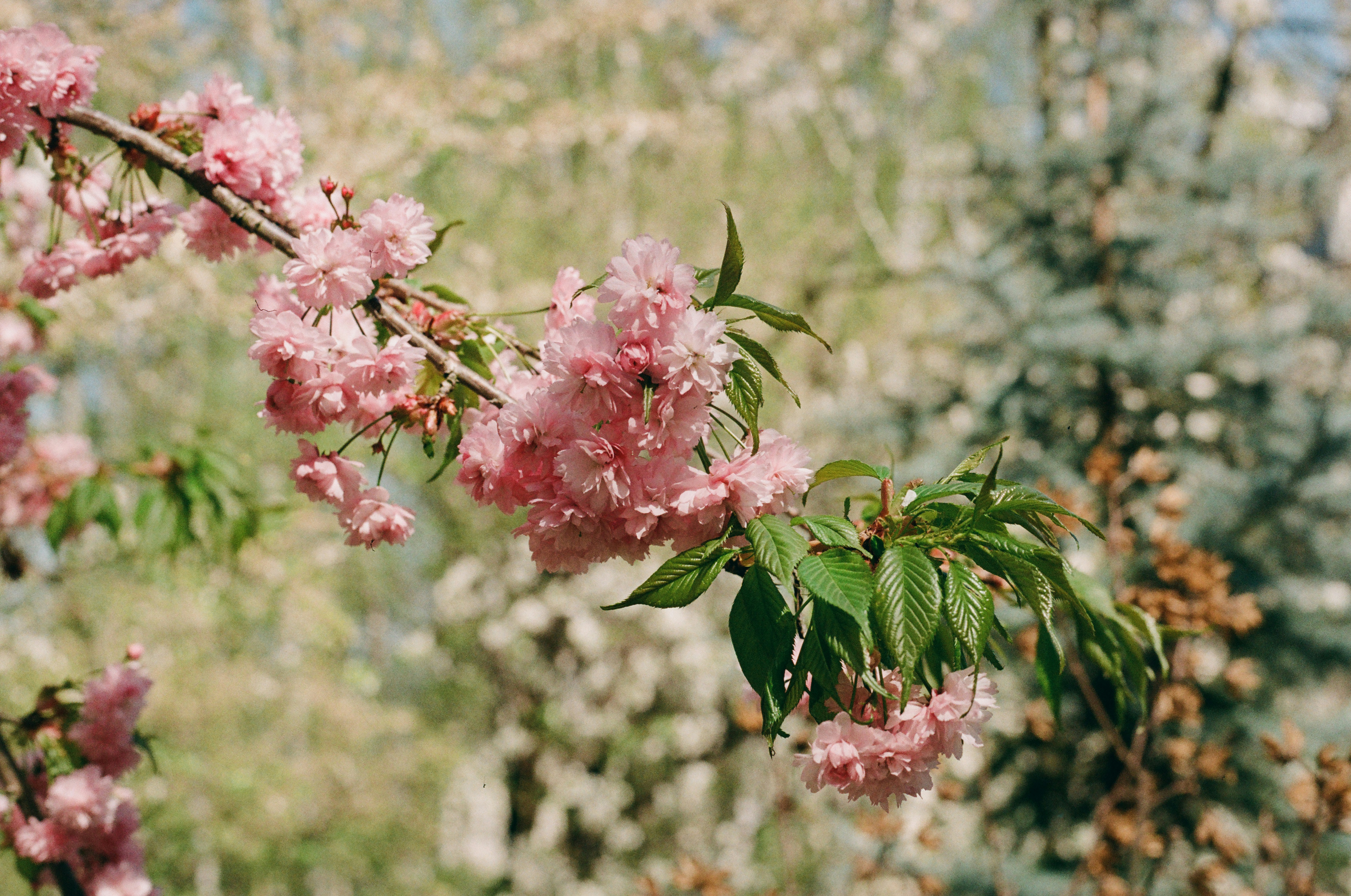 Photo by mineral_of_demon