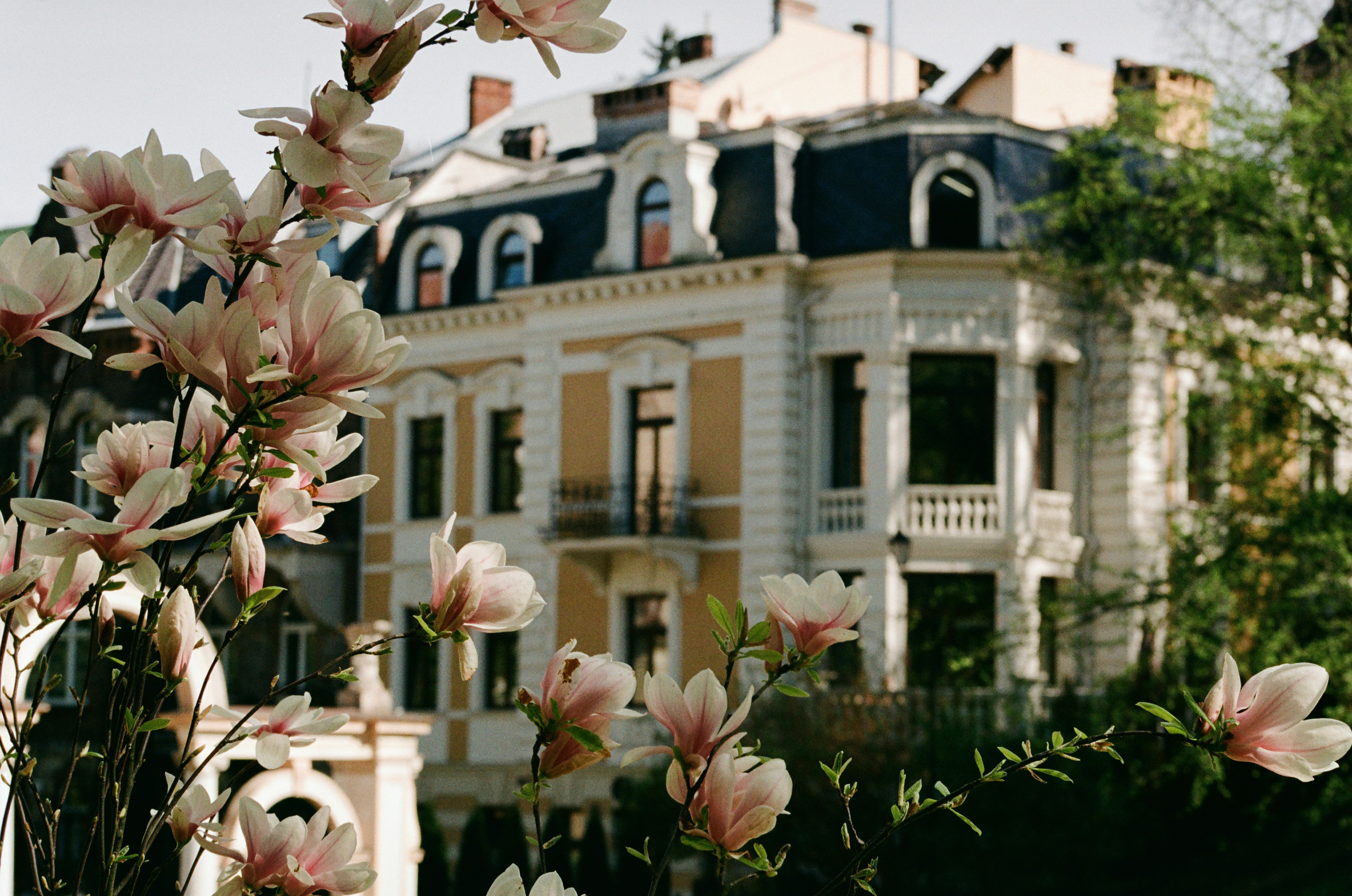 Photo by mineral_of_demon