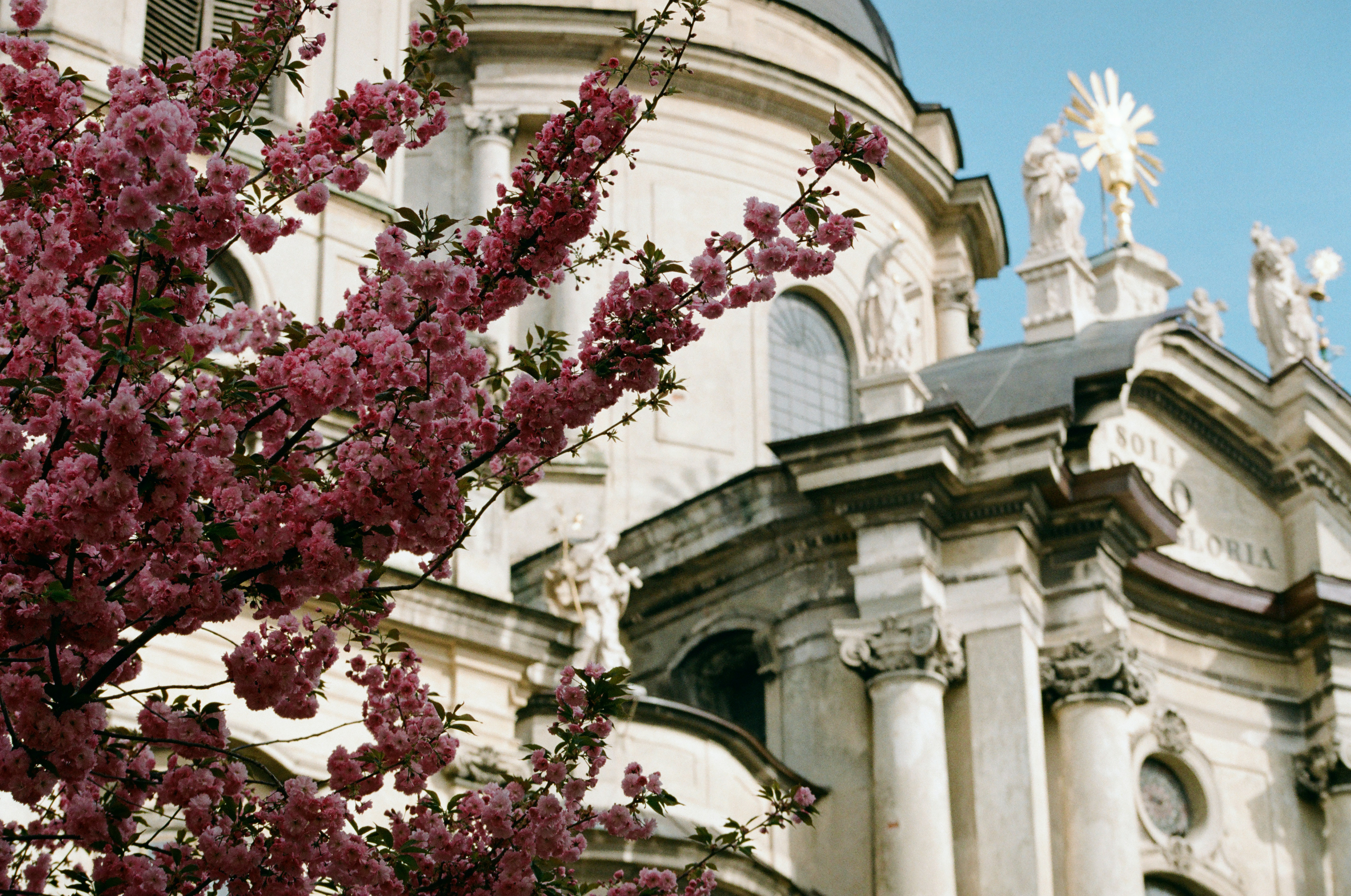 Photo by mineral_of_demon