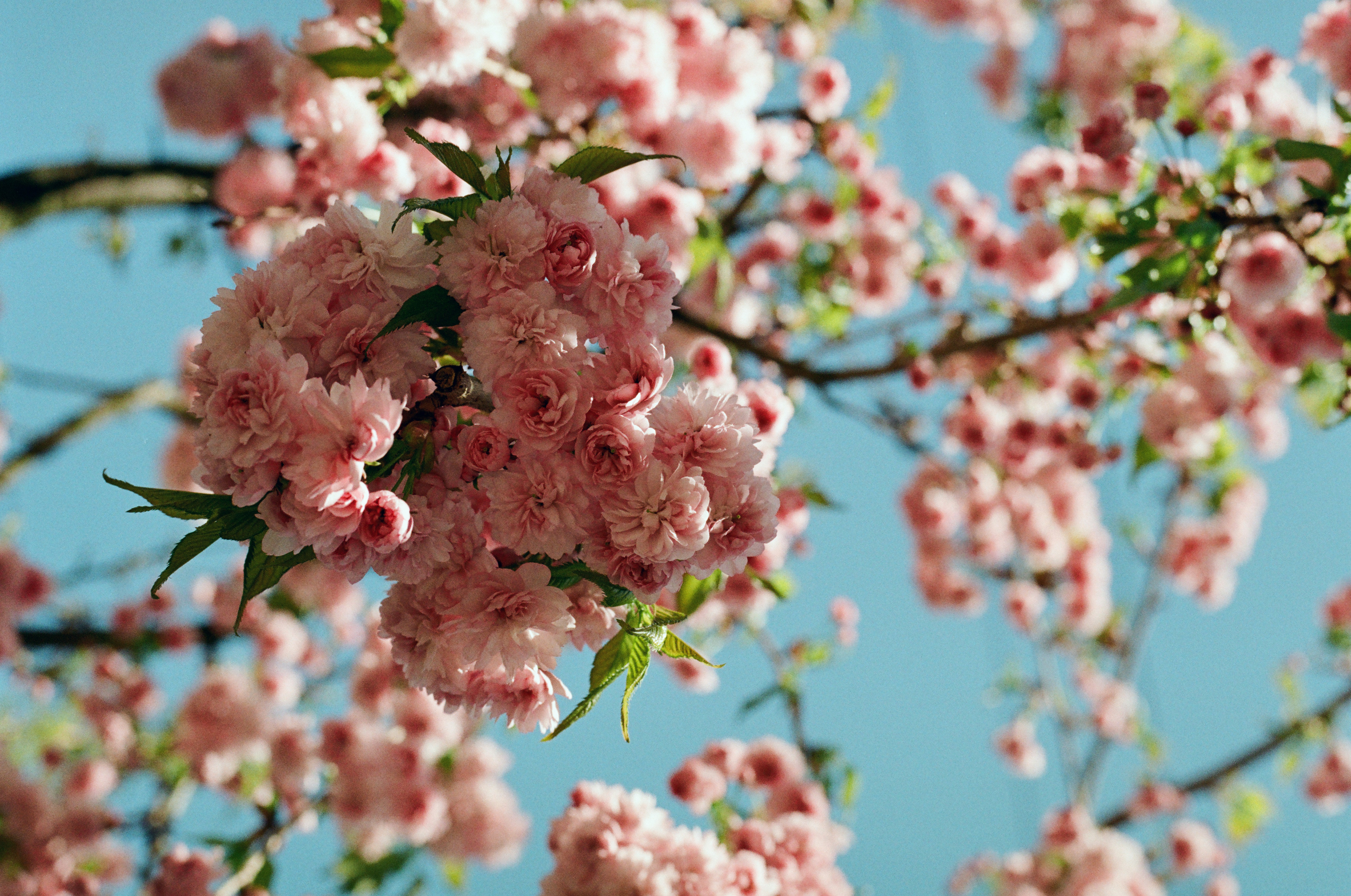 Photo by mineral_of_demon