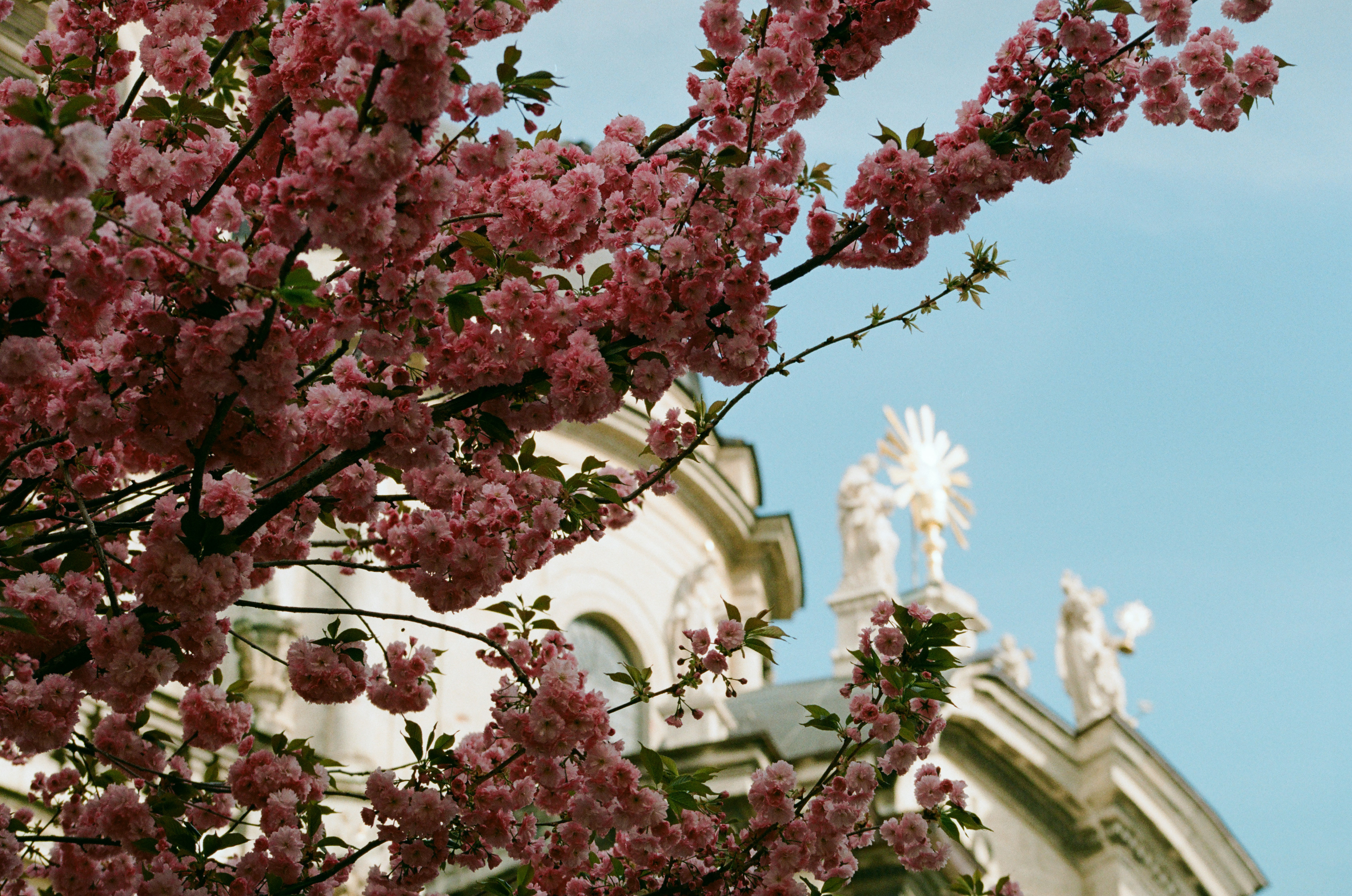 Photo by mineral_of_demon