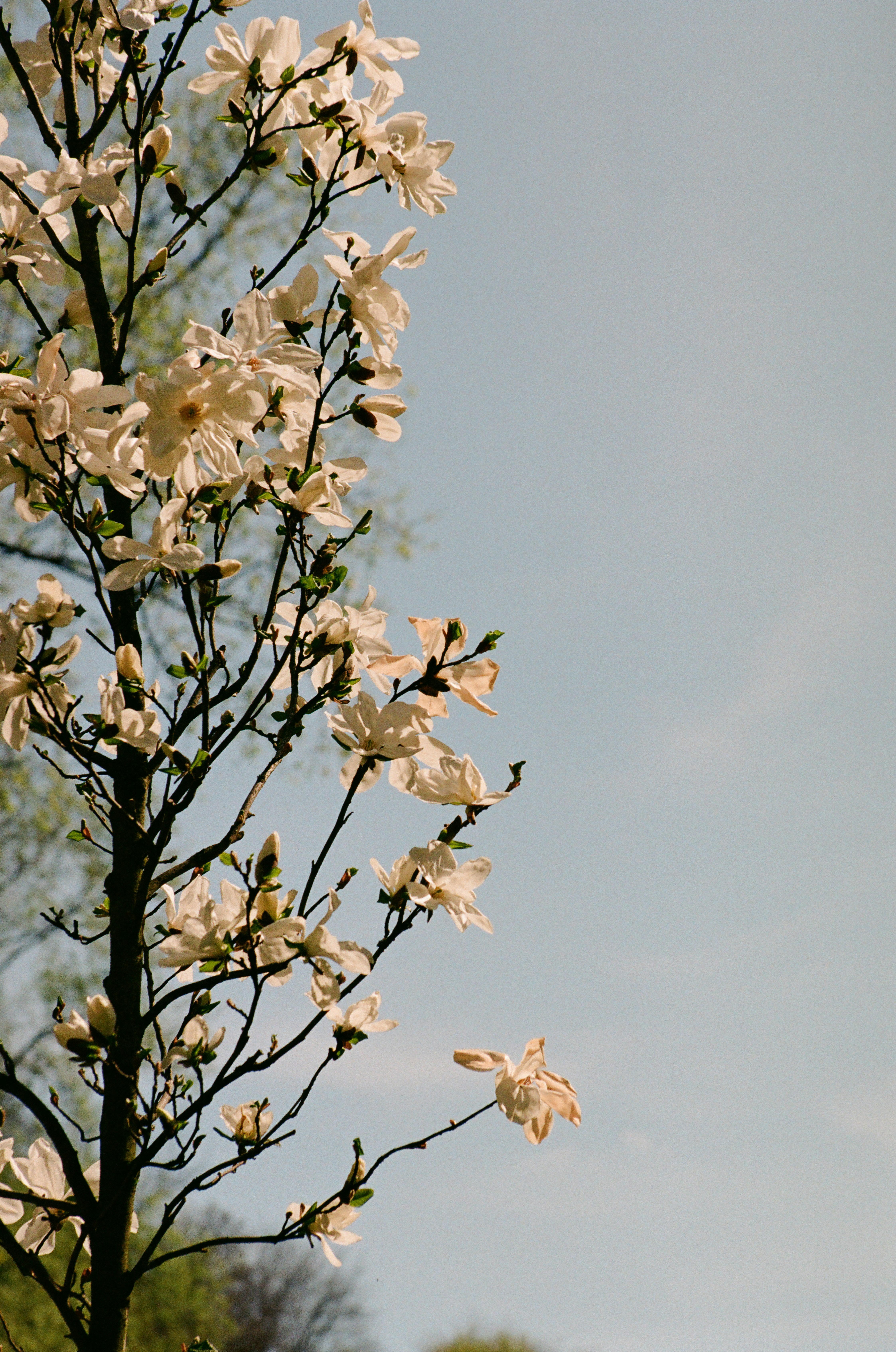Photo by mineral_of_demon