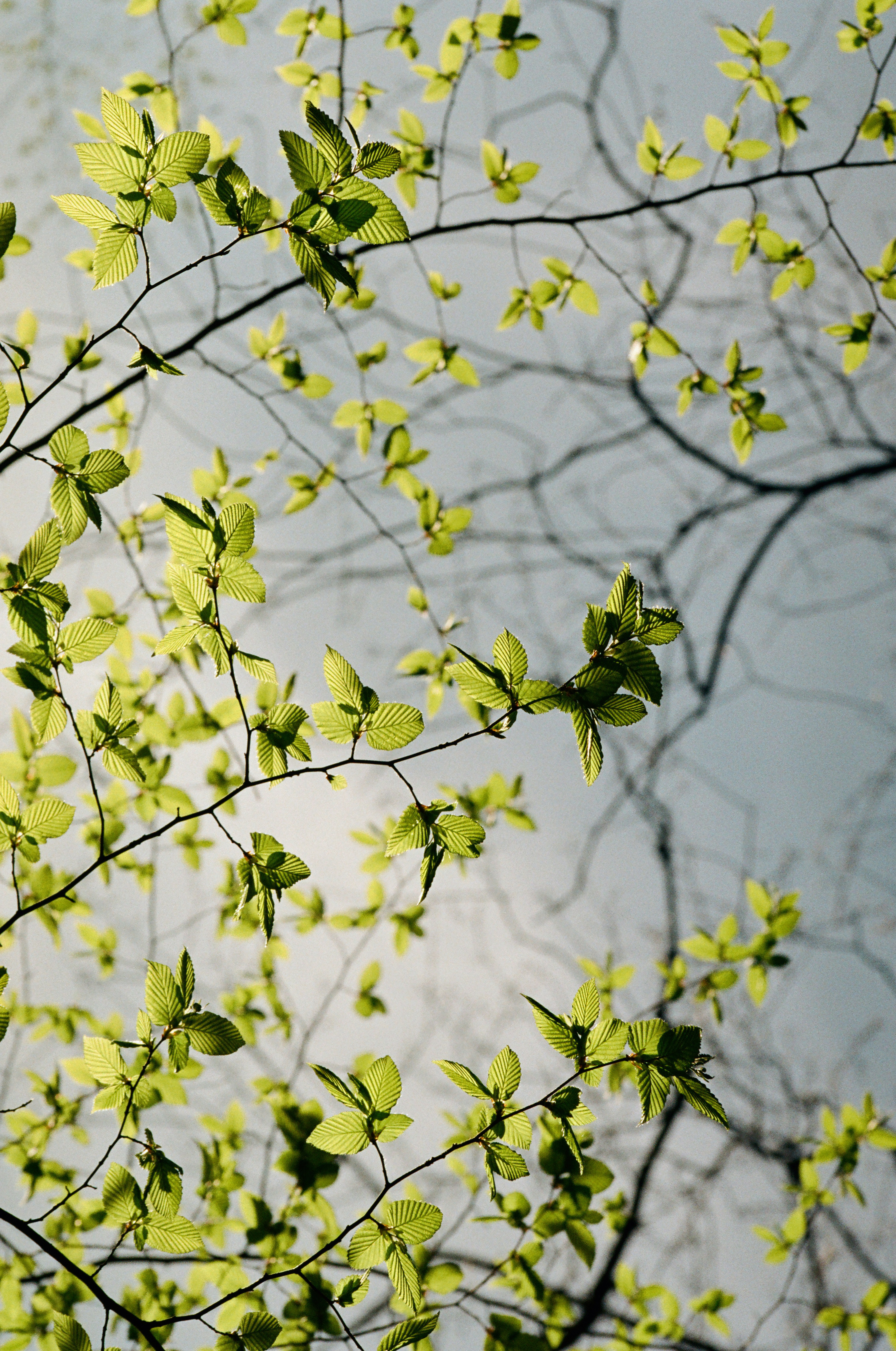 Photo by mineral_of_demon