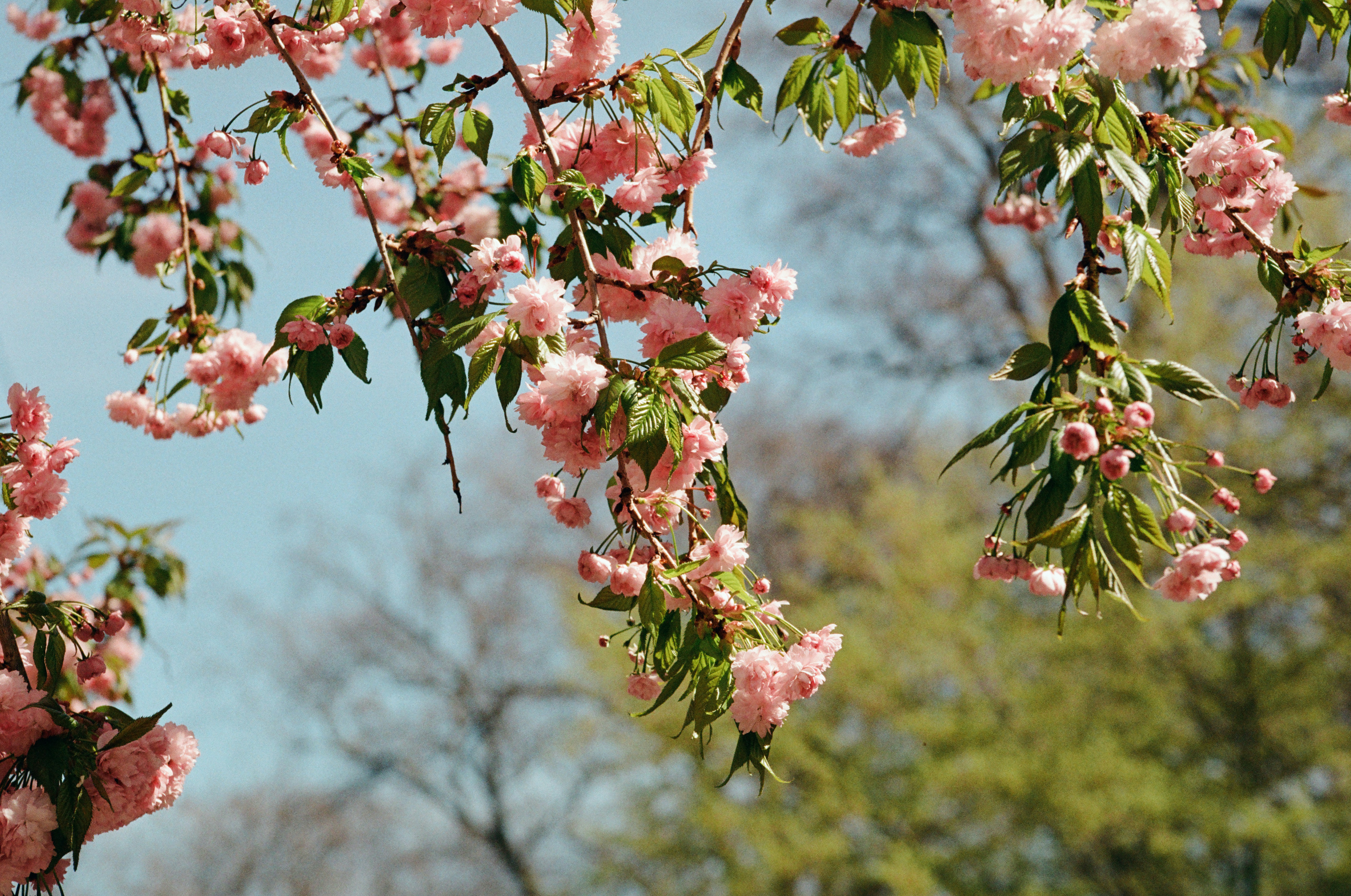 Photo by mineral_of_demon