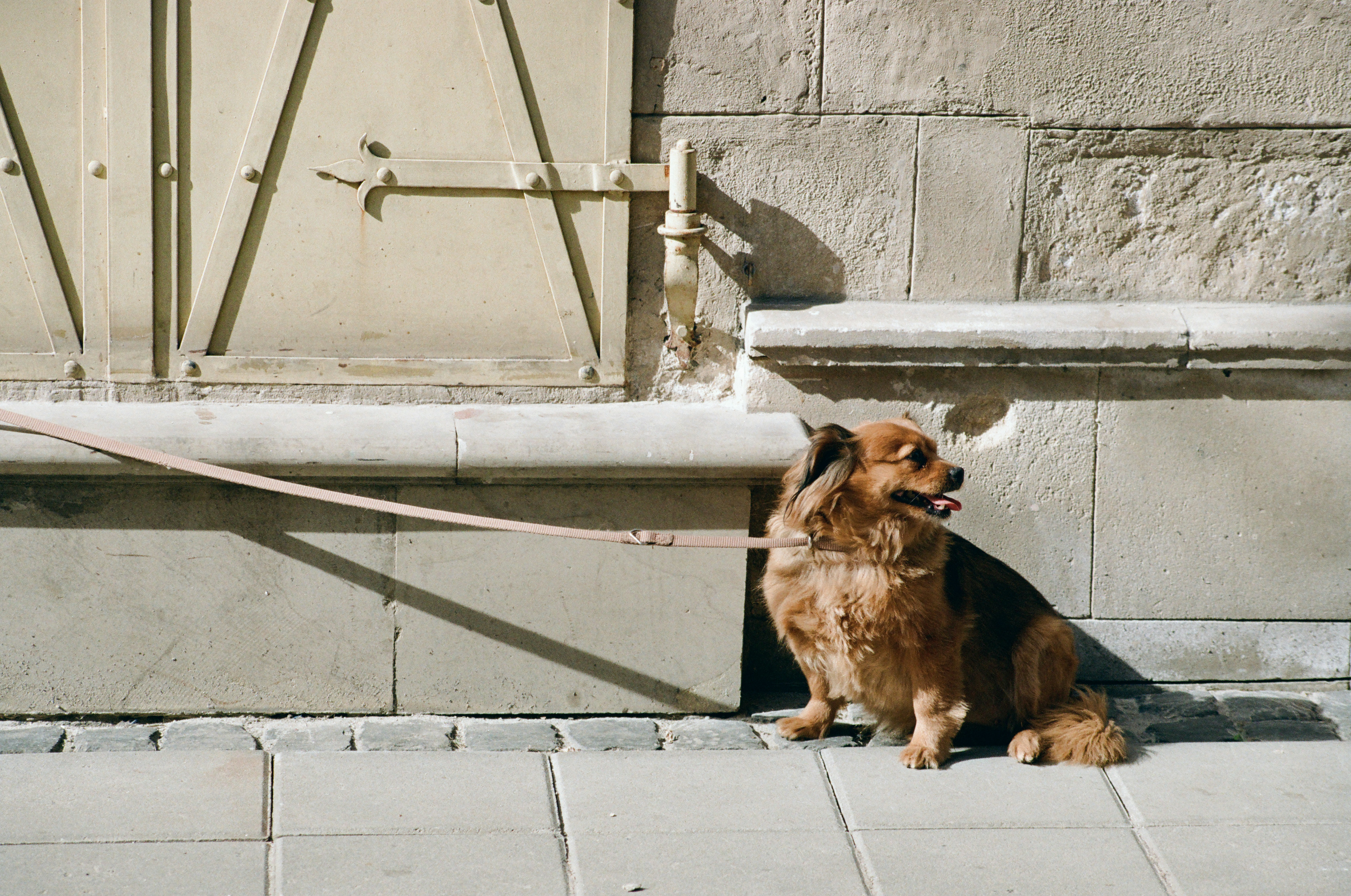 Photo by mineral_of_demon