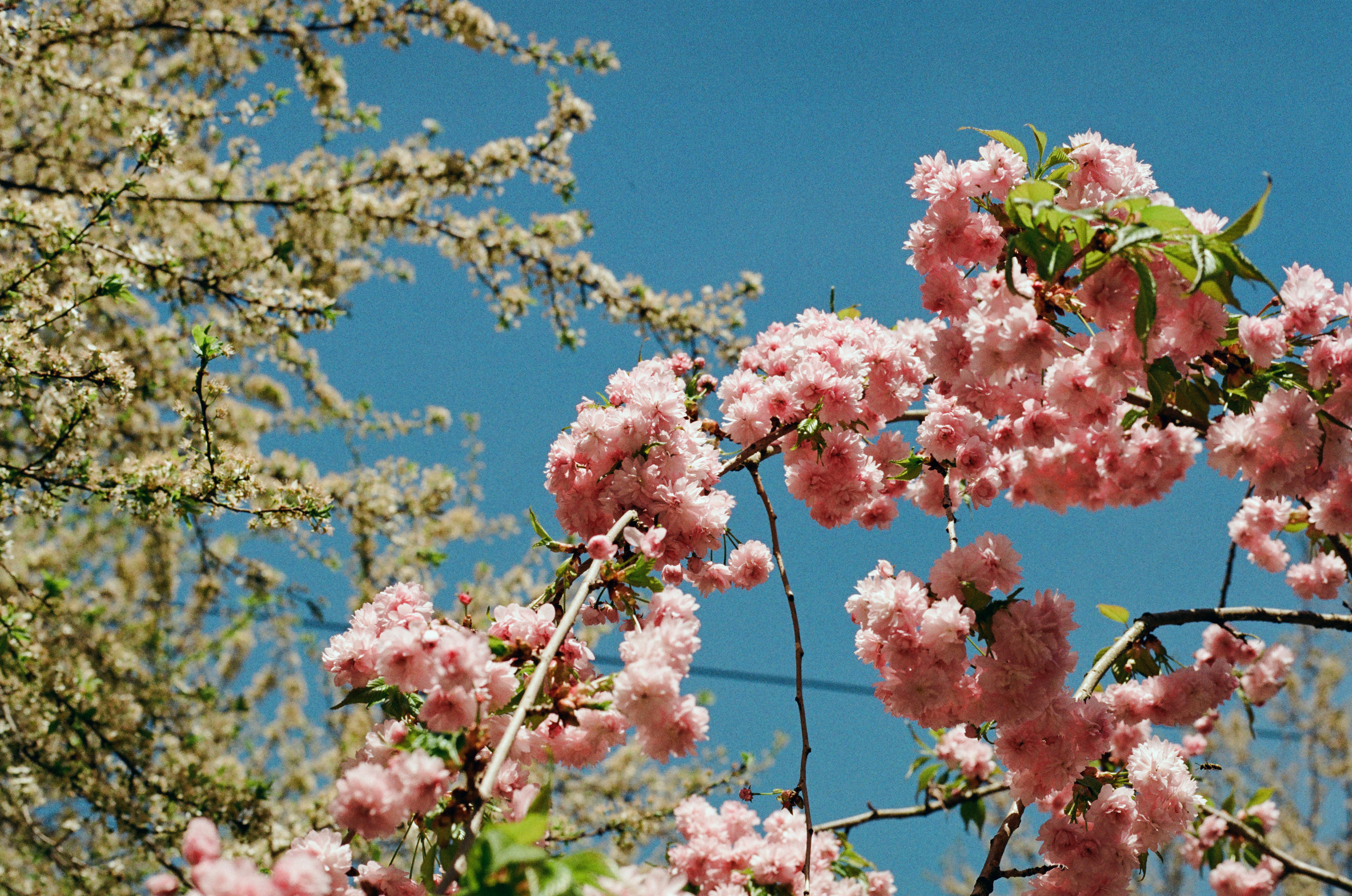 Photo by mineral_of_demon