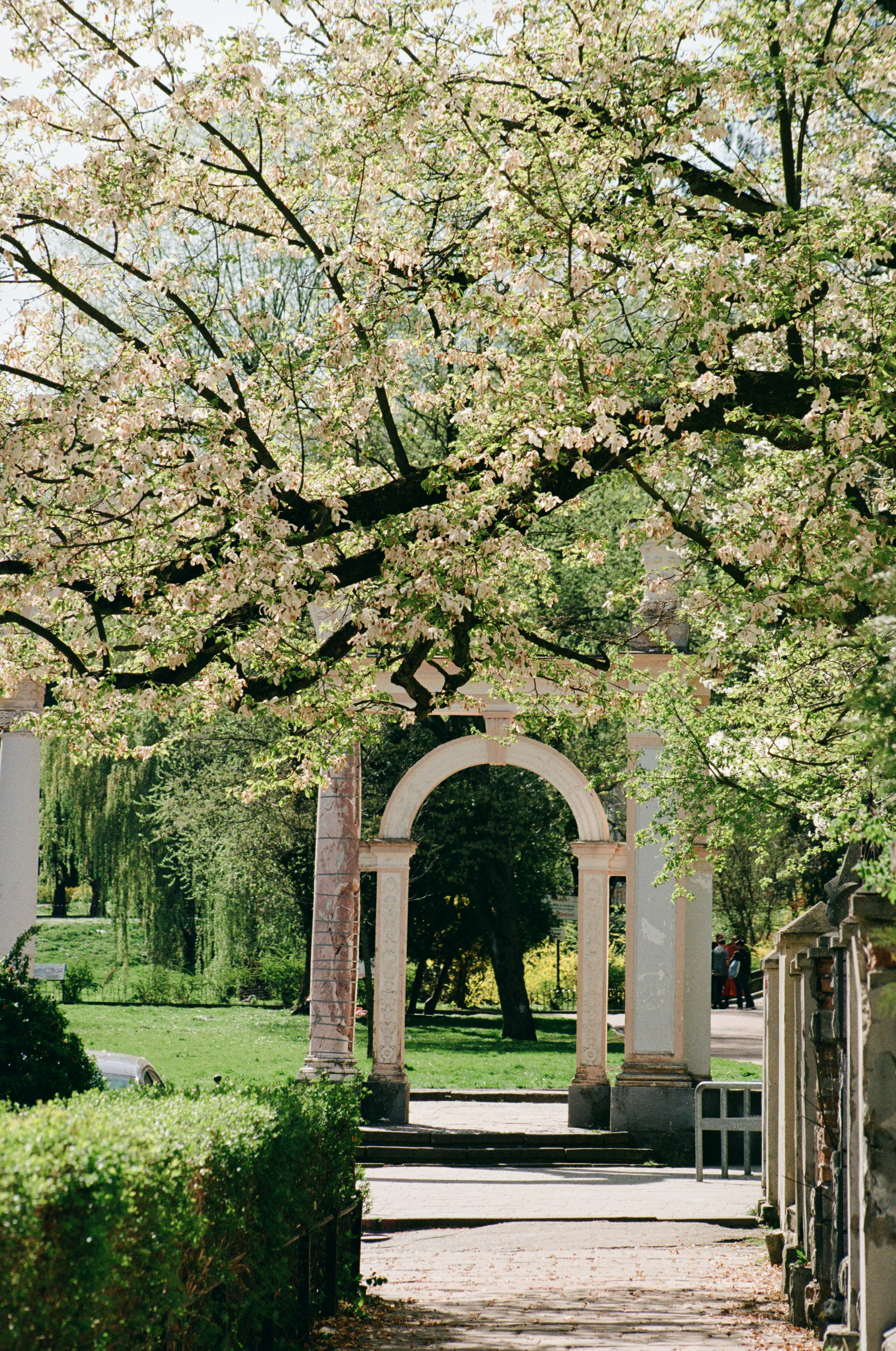 Photo by mineral_of_demon