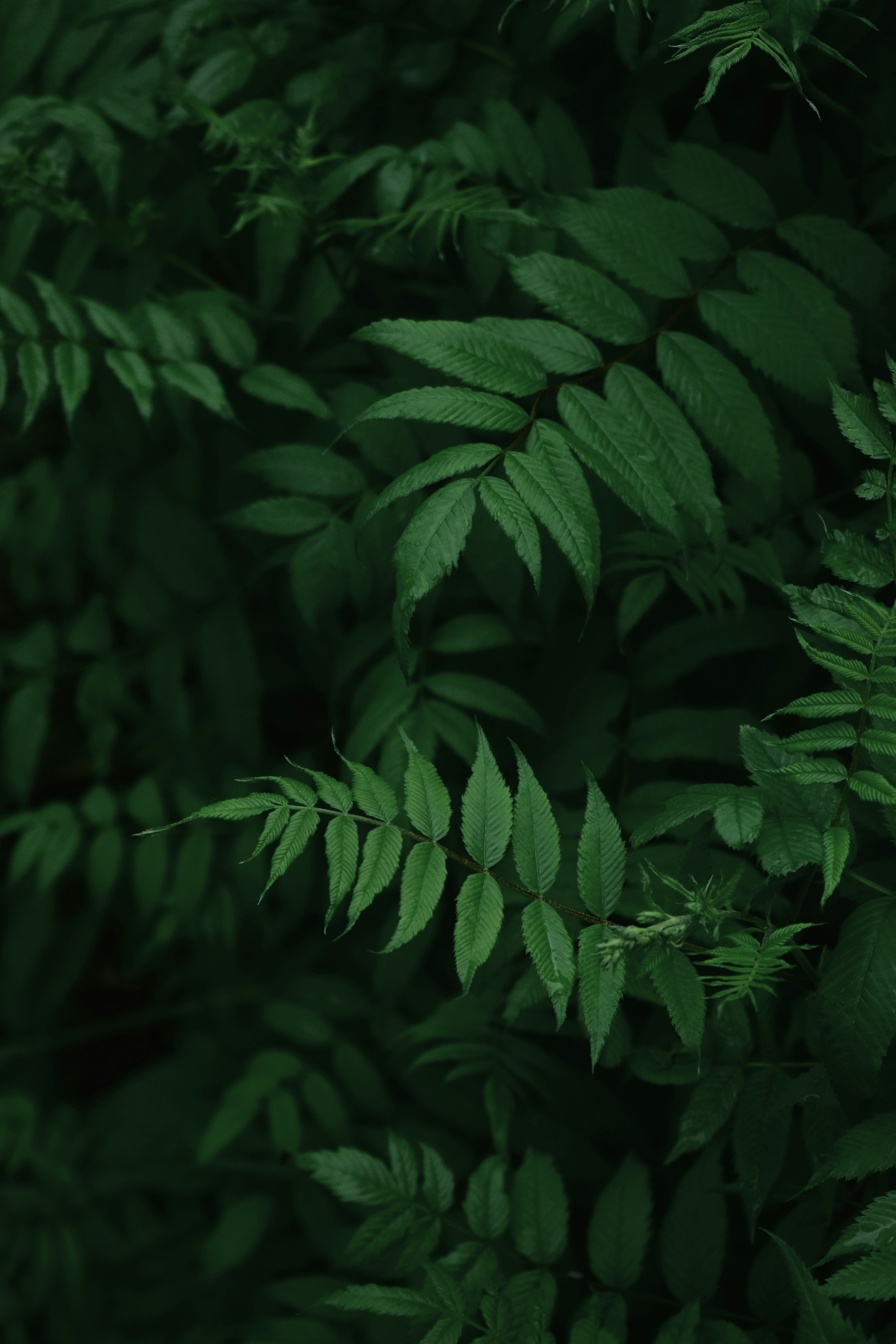 Photo by polina_grishma