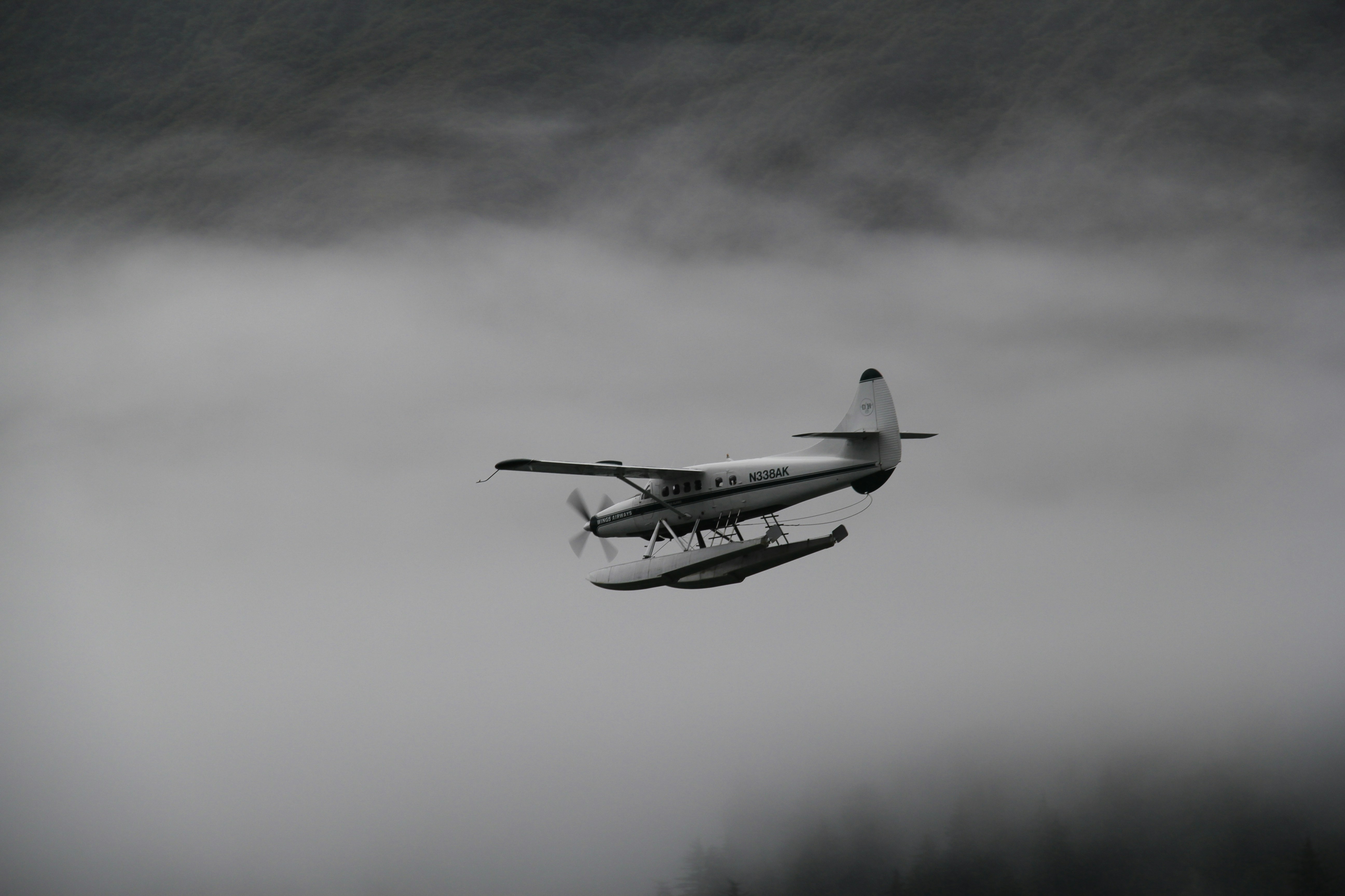 Flyway Community Edition Database Management