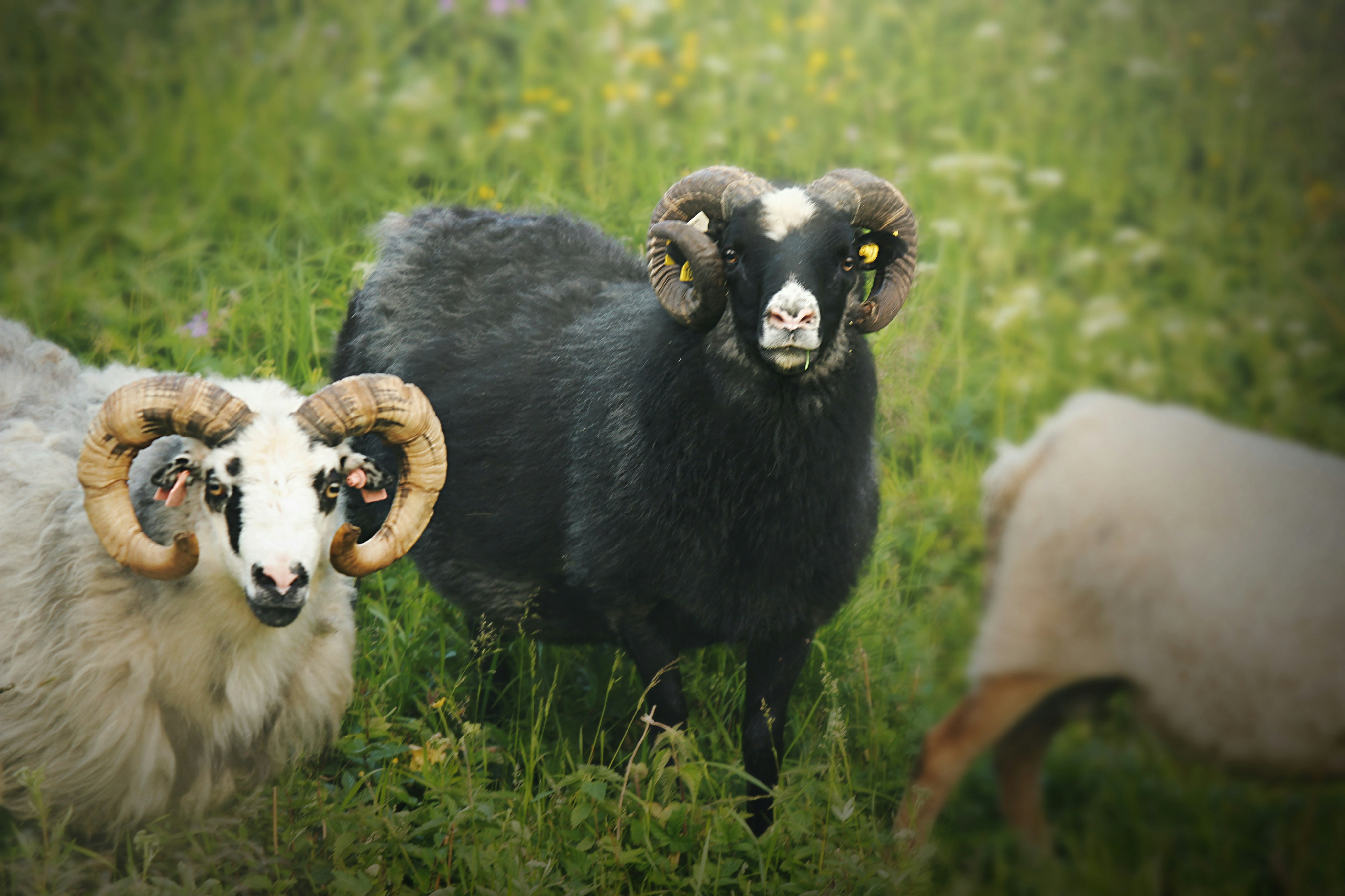 Photo by kristinokarlsen