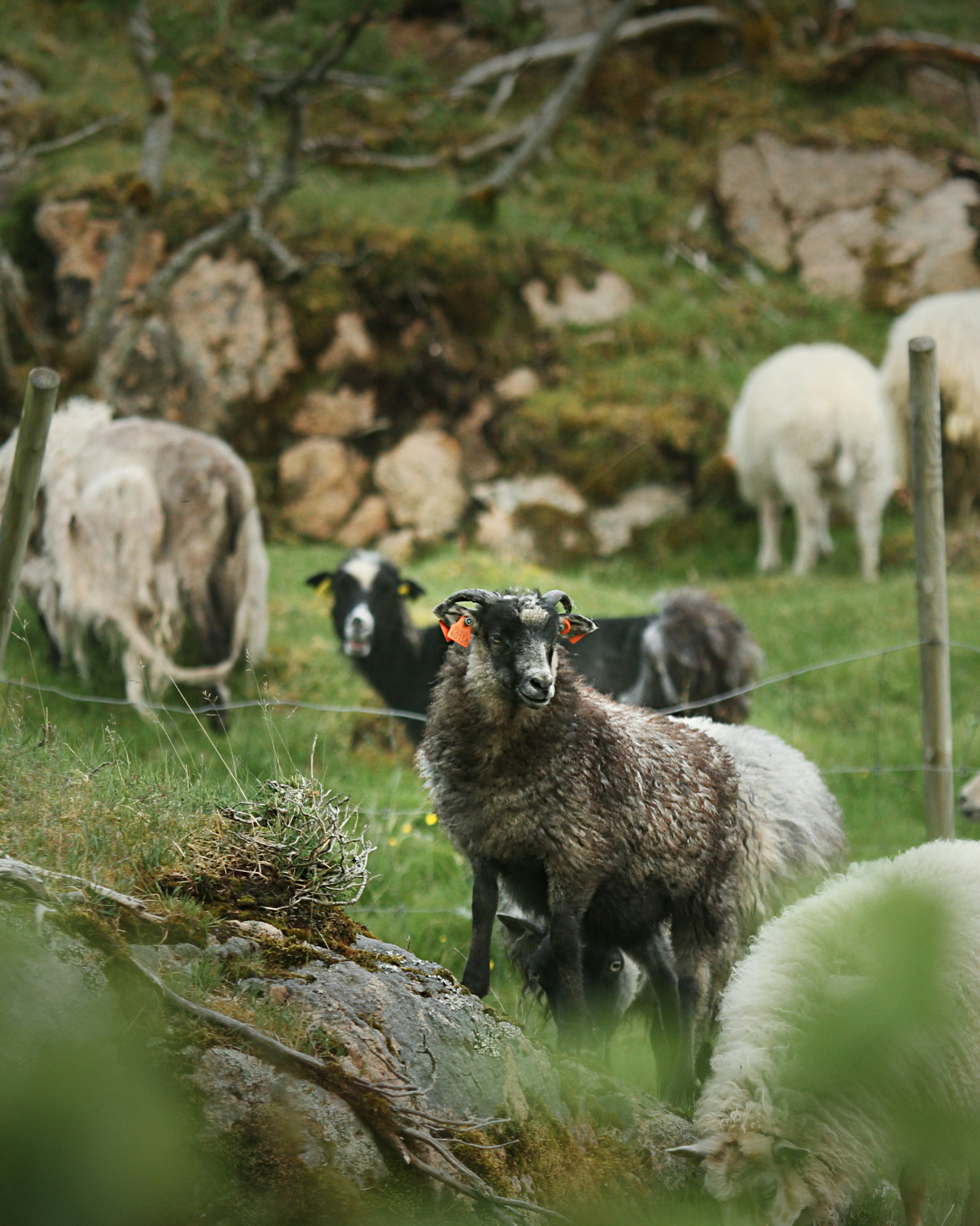 Photo by kristinokarlsen