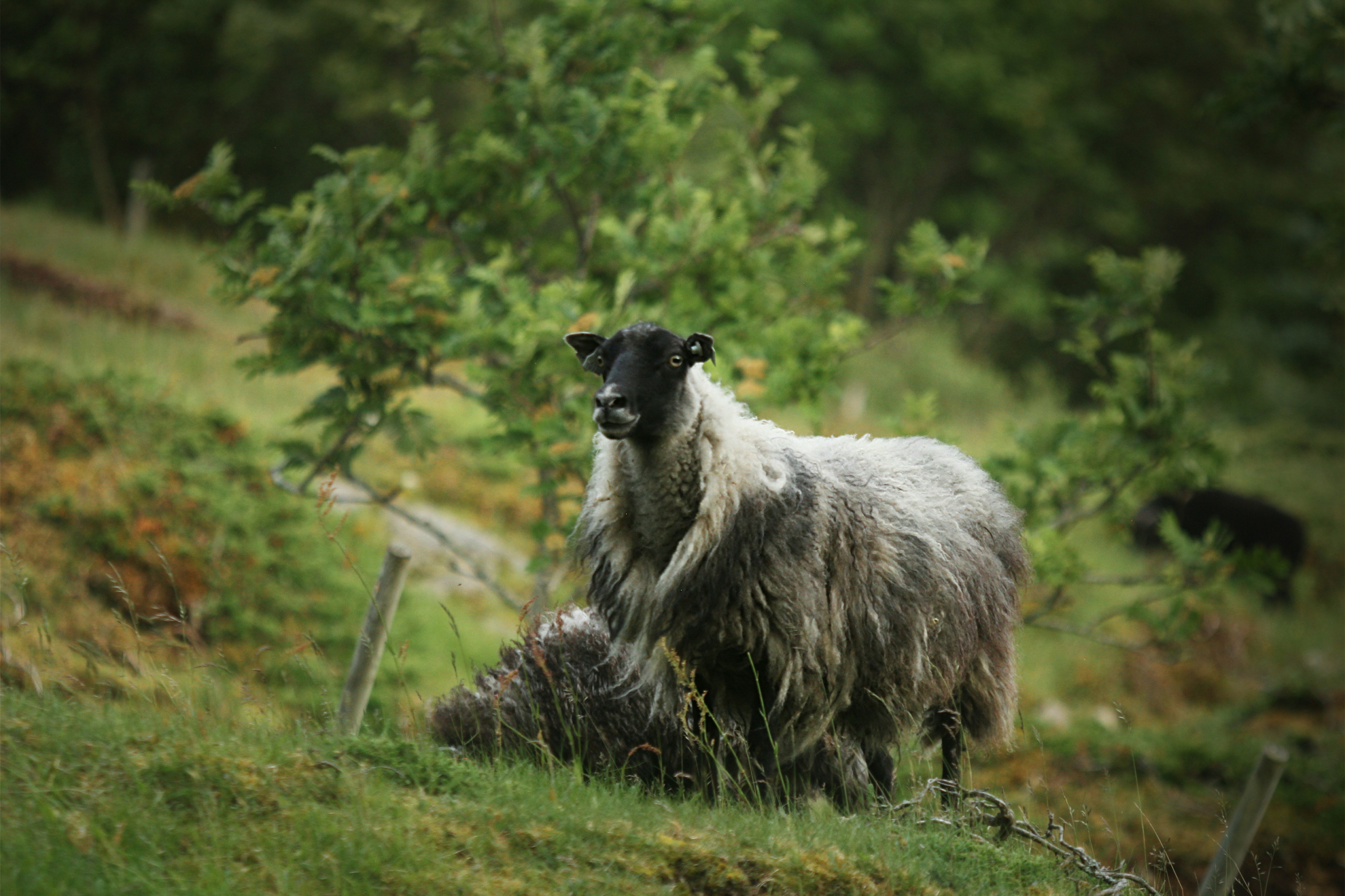 Photo by kristinokarlsen