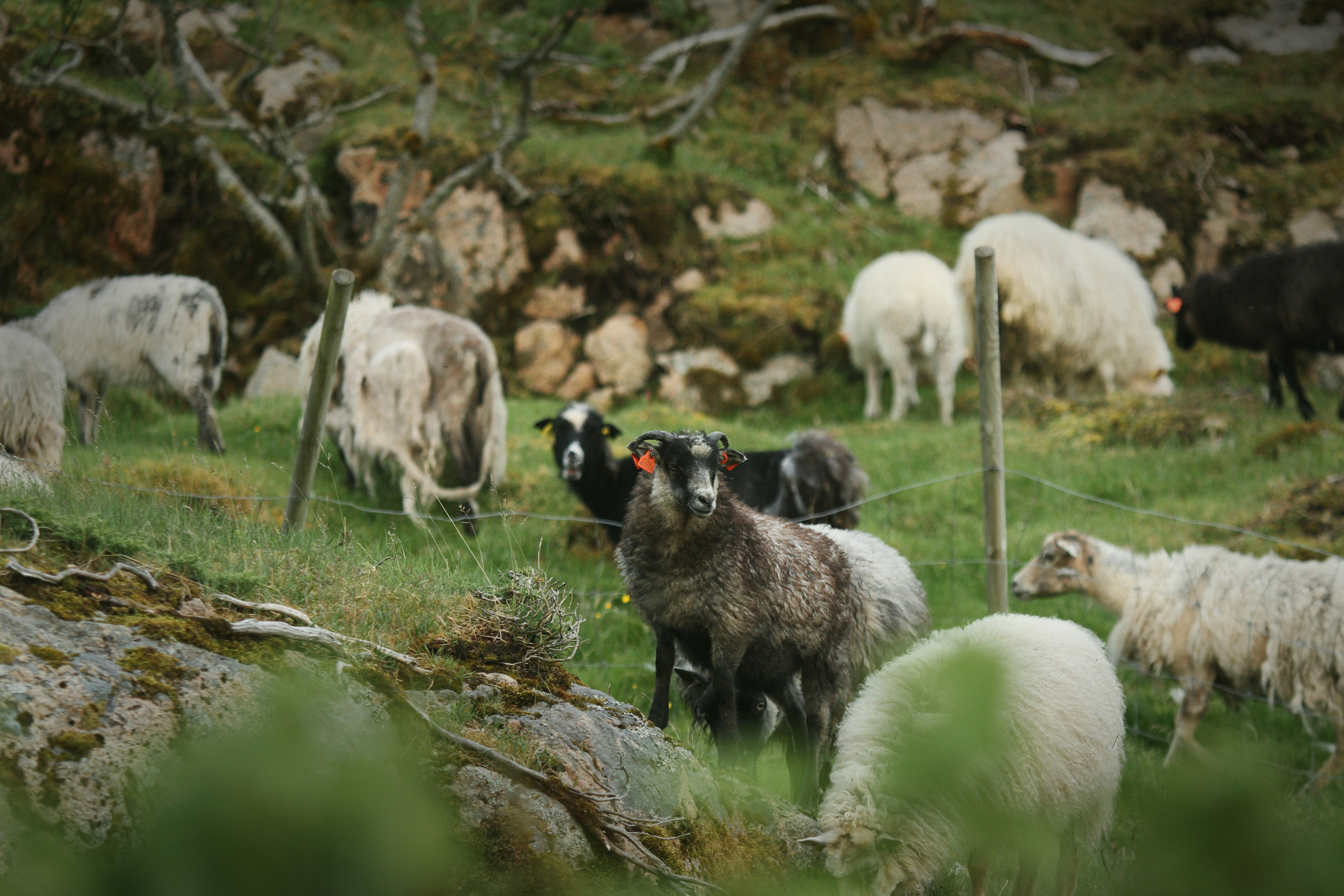 Photo by kristinokarlsen