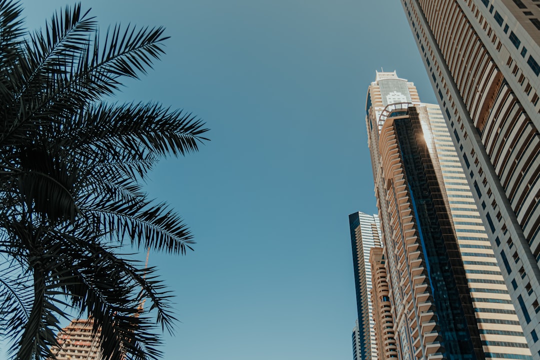 A tall building with a palm tree in front of it, Skyscrapers with palm tree silhouette on a clear blue sky