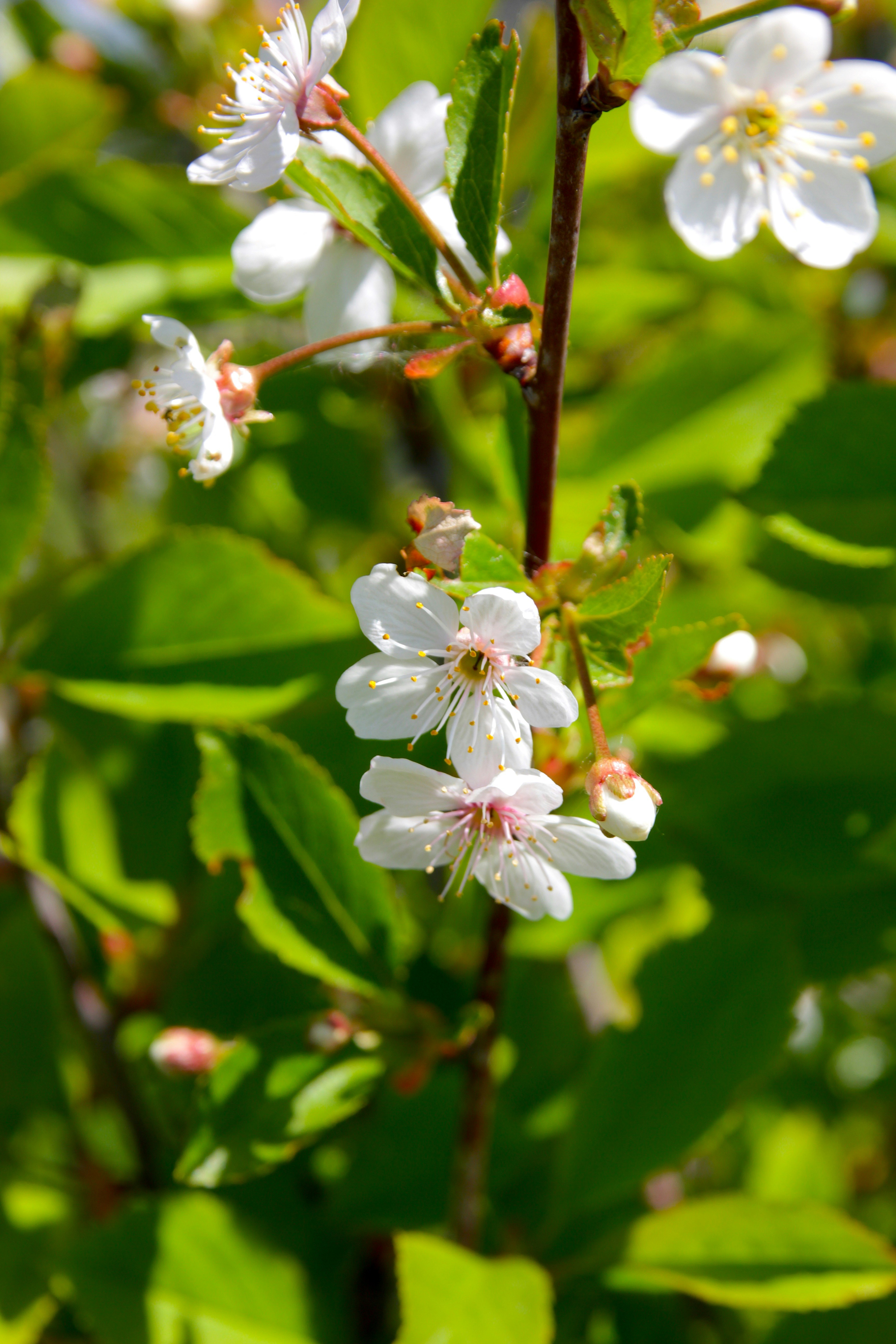 Photo by dena_skulskaya