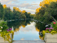 Best Eco-Friendly Resorts and Sustainable Stays in Calgary
