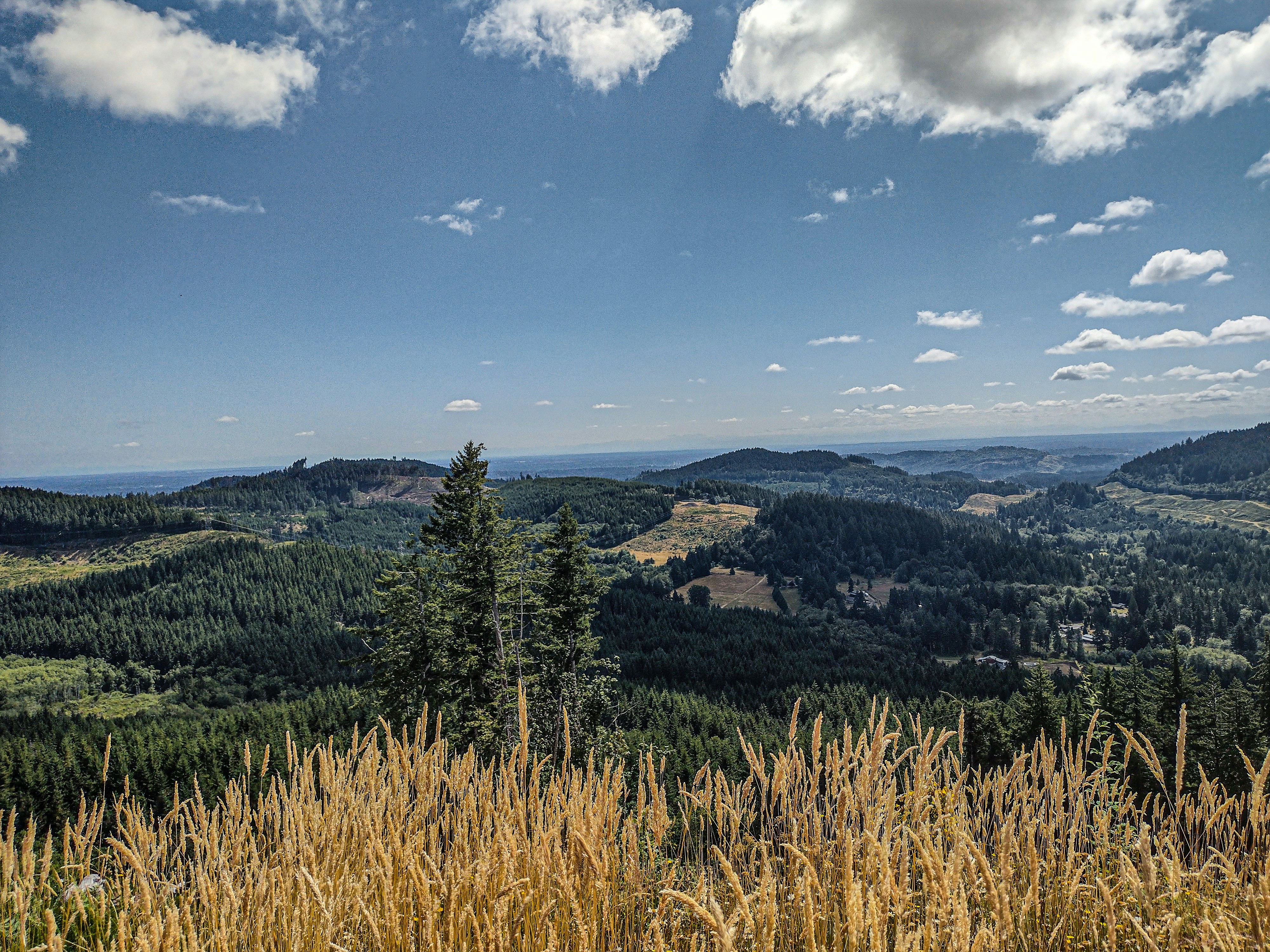 Photo by prphotography262