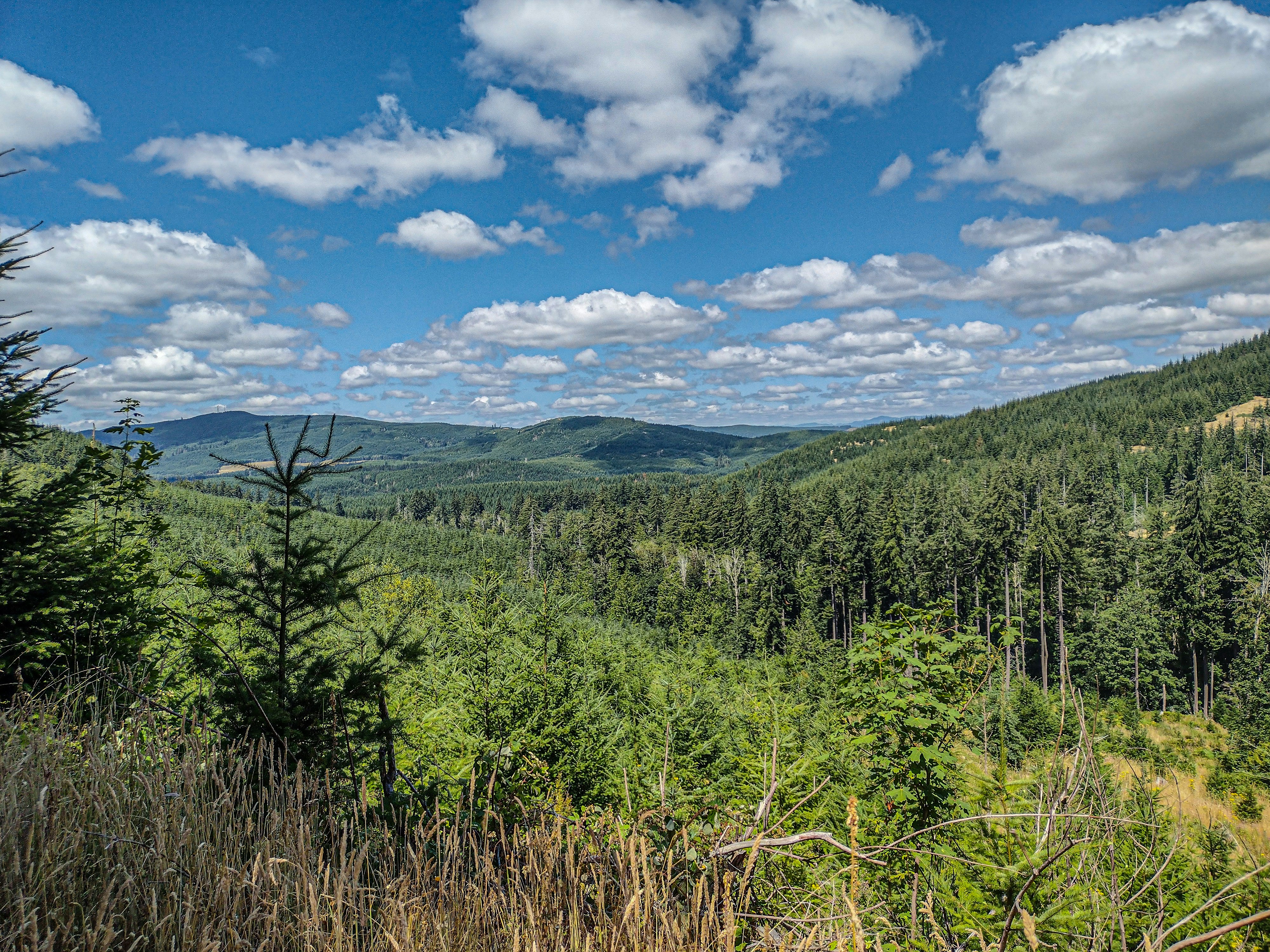 Photo by prphotography262