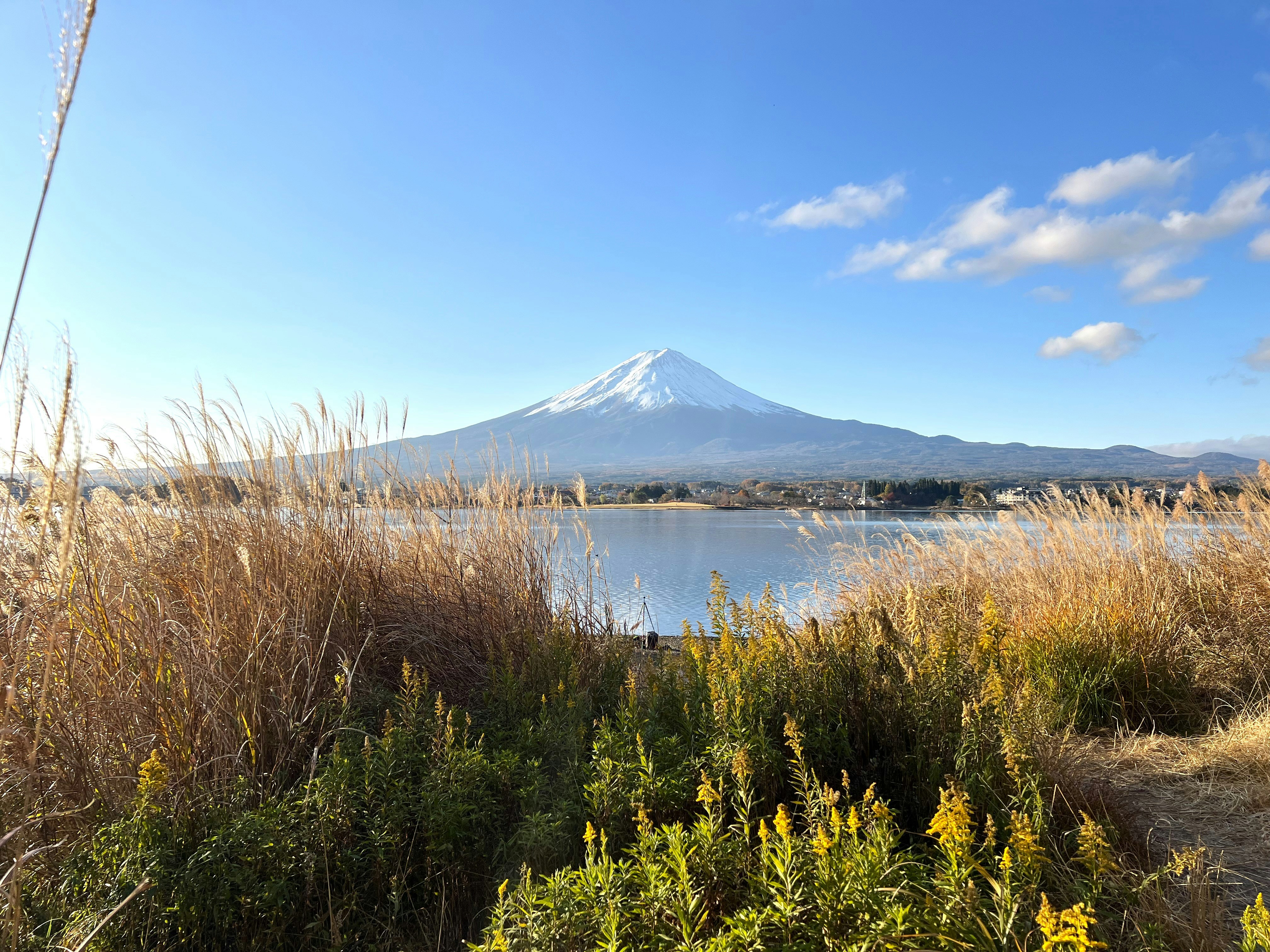 A view of a lake with a mountain in the background