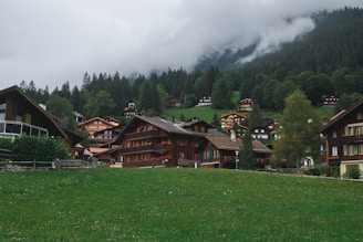 A group of houses sitting on top of a lush green hillside