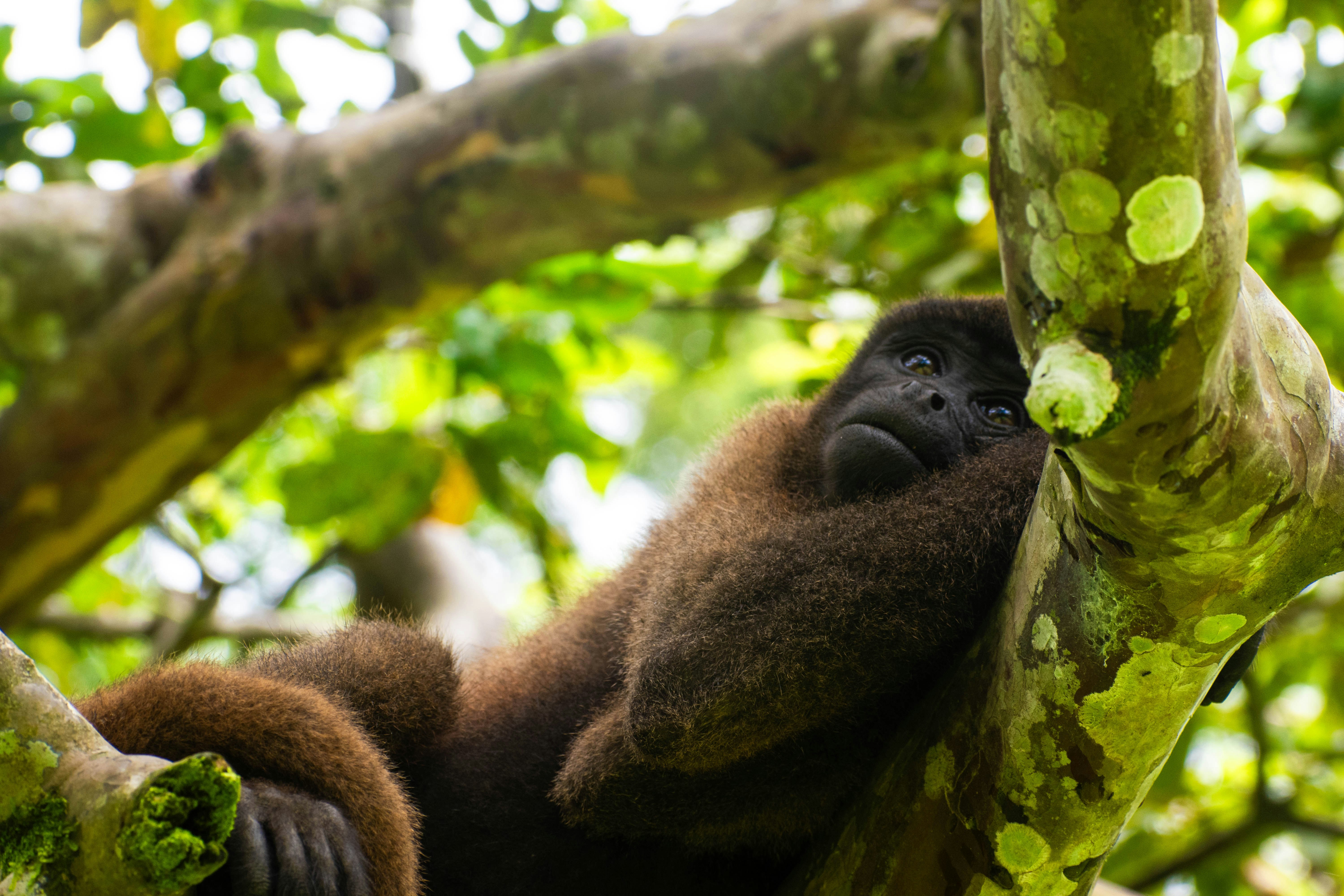 Iquitos travel photo