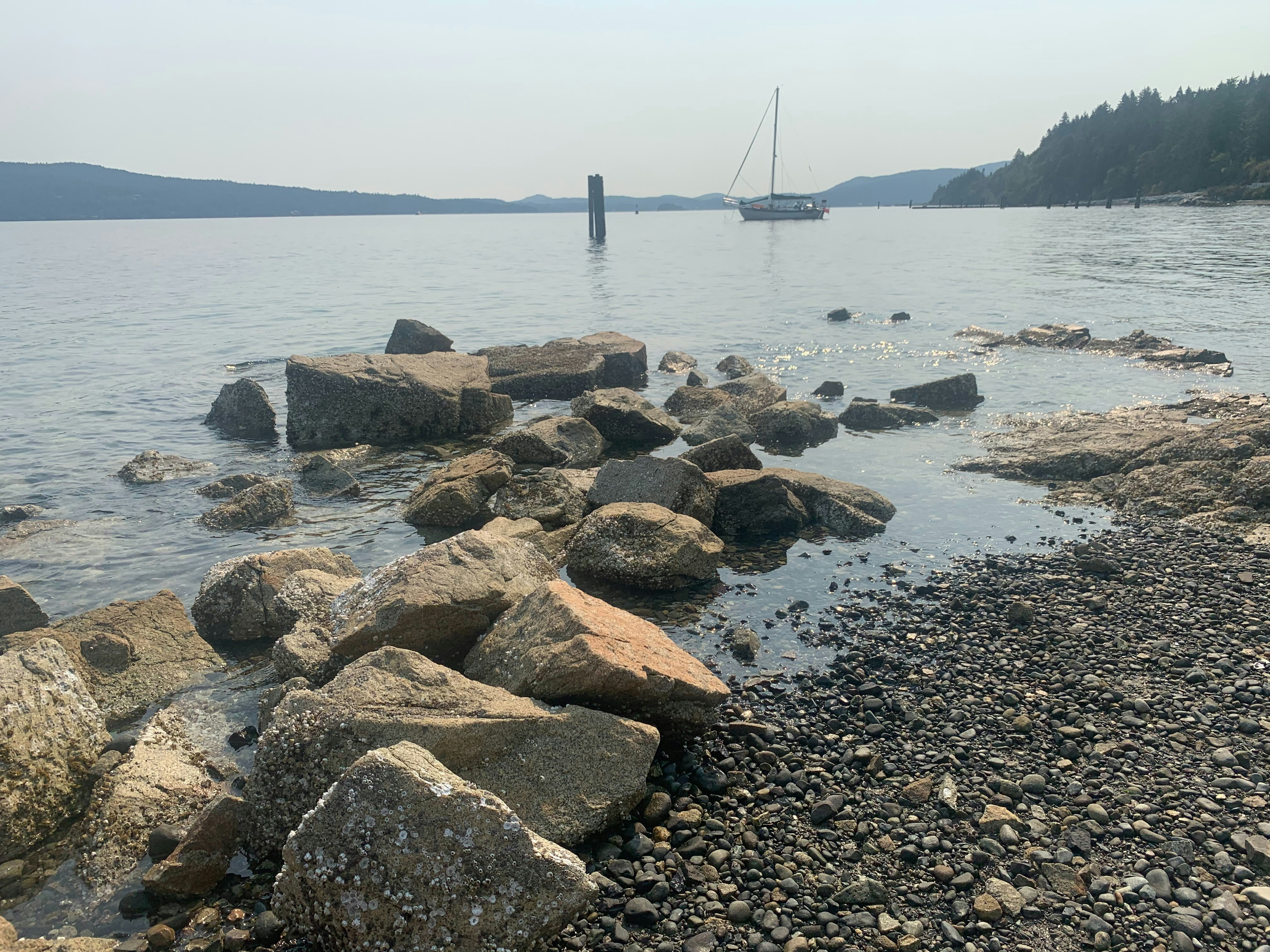 Photo by ritikamonster