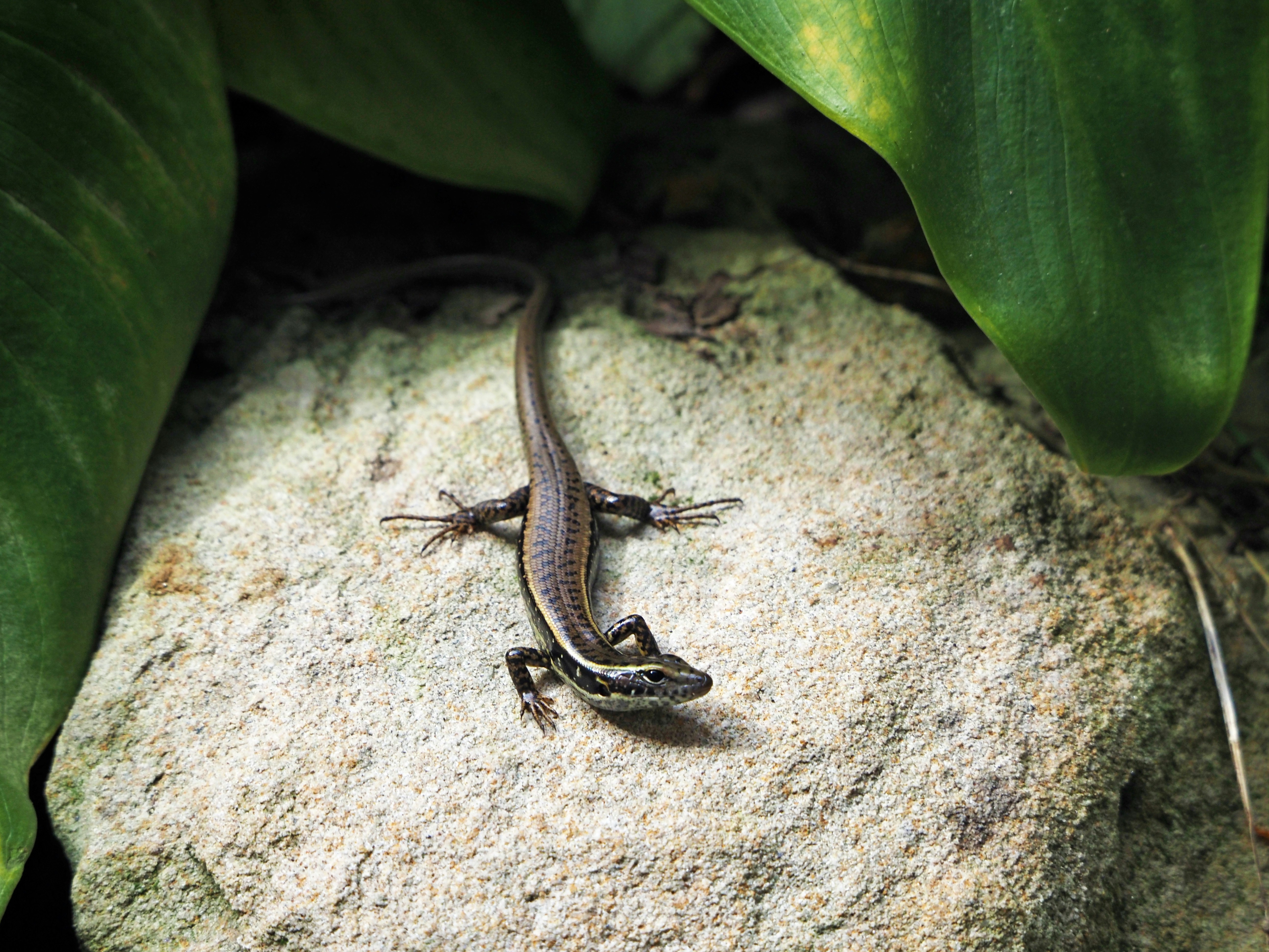 Photo by liefdevoorreizen